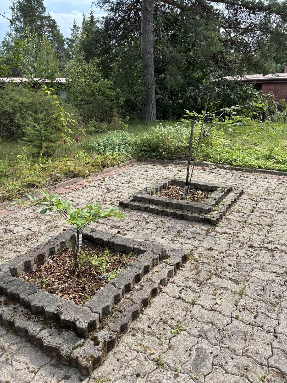 Kohdekuva 20