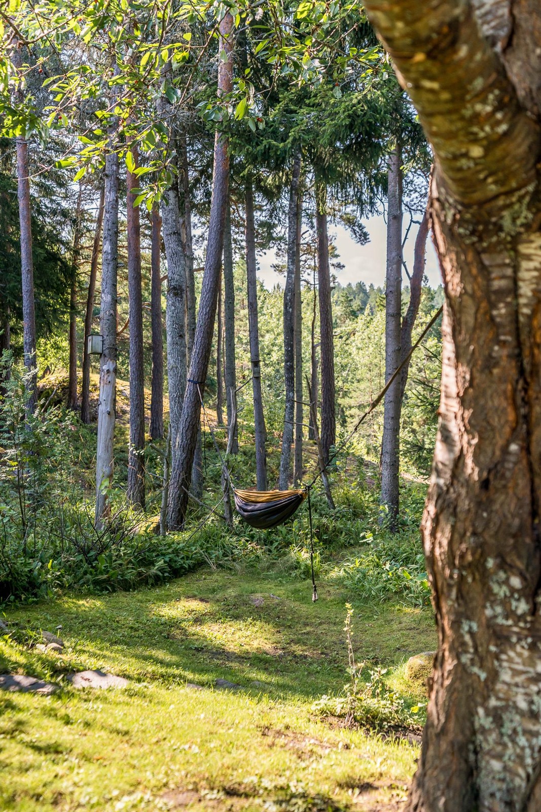 Luonnonläheinen miljöö: