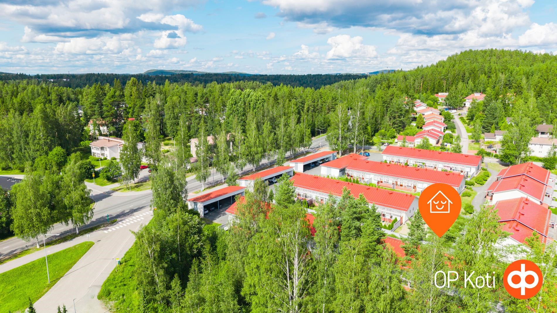 Kohdekuva 24