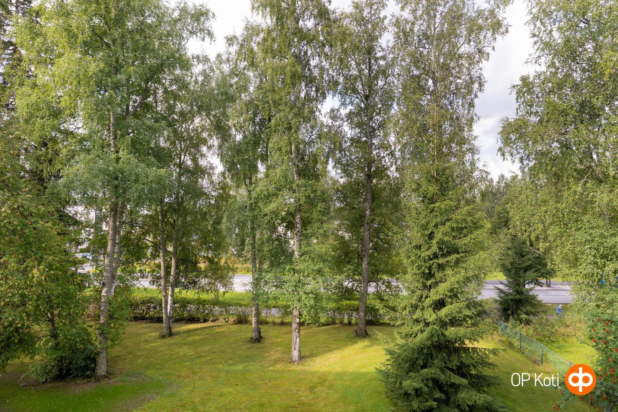 Kohdekuva 16