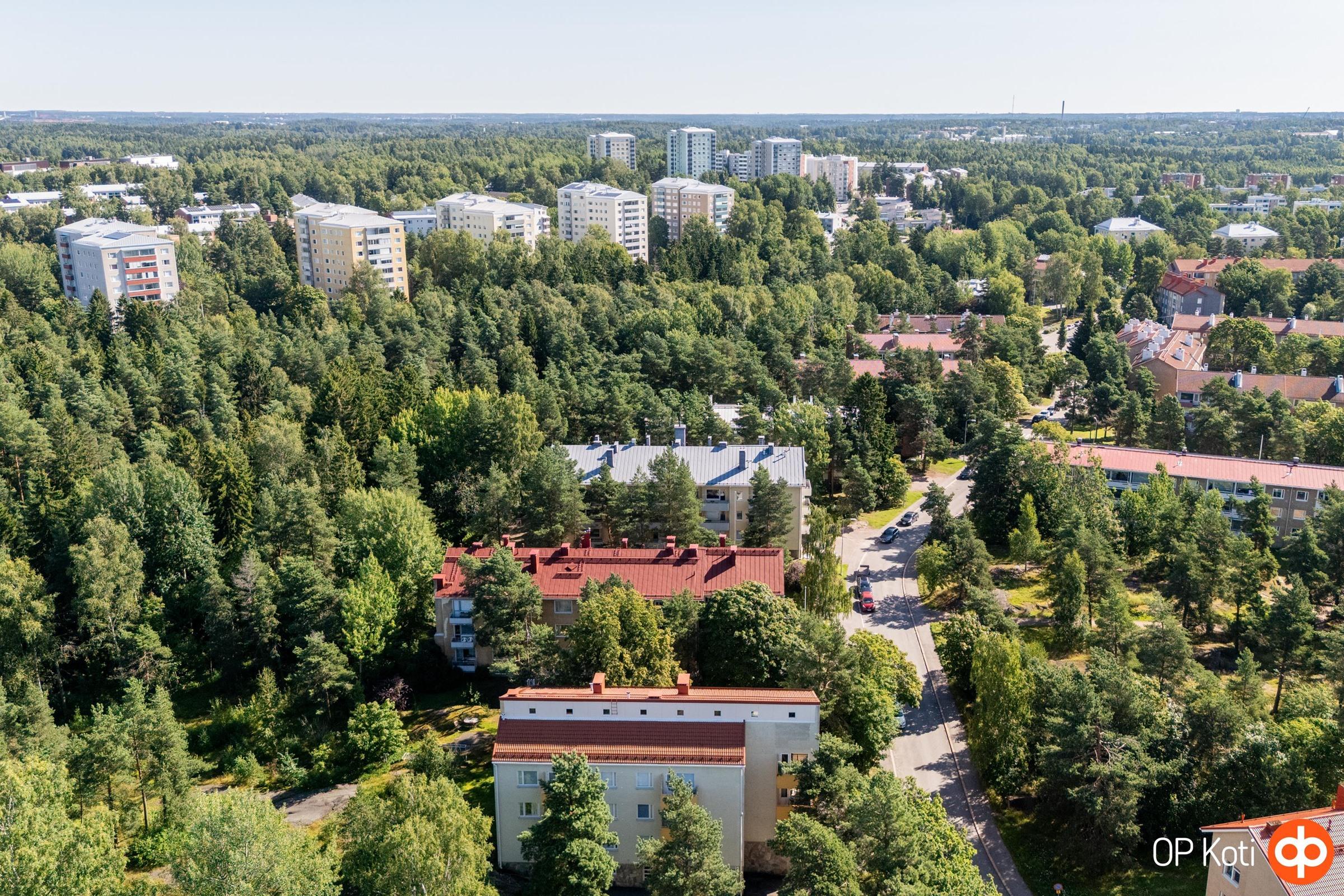 Kohdekuva 36