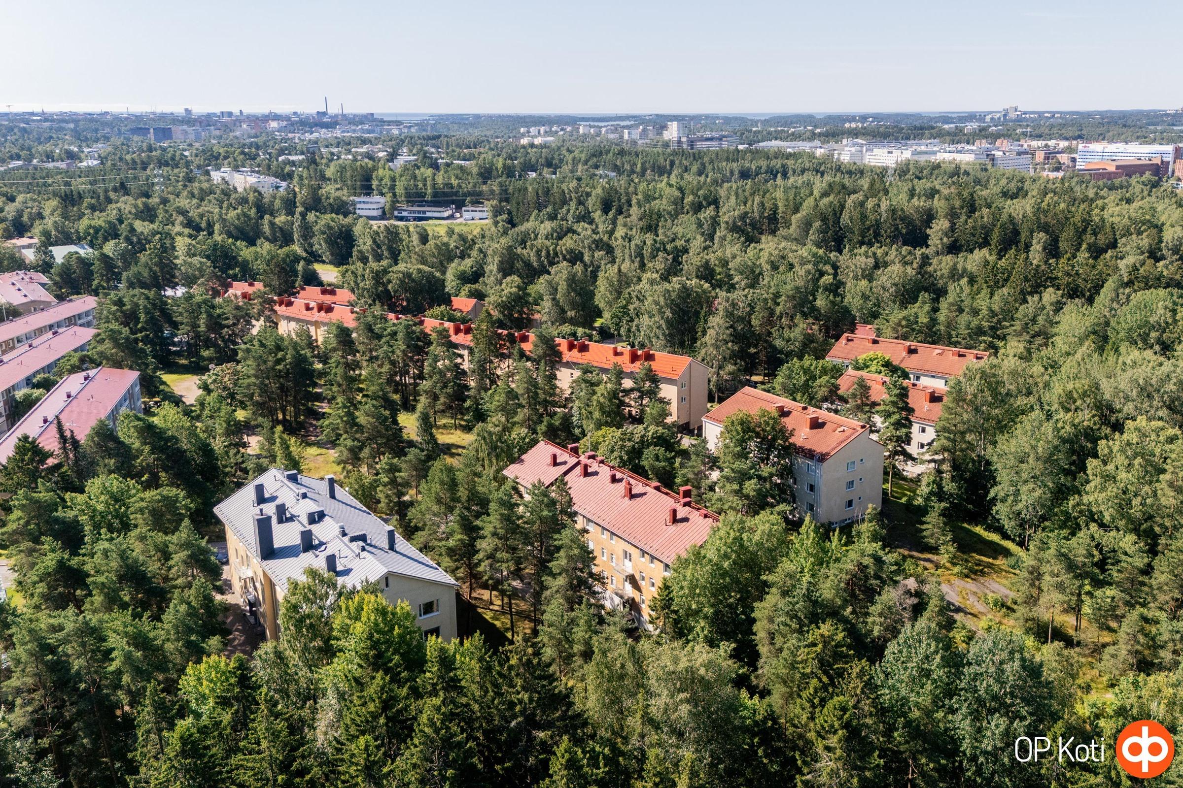 Kohdekuva 37