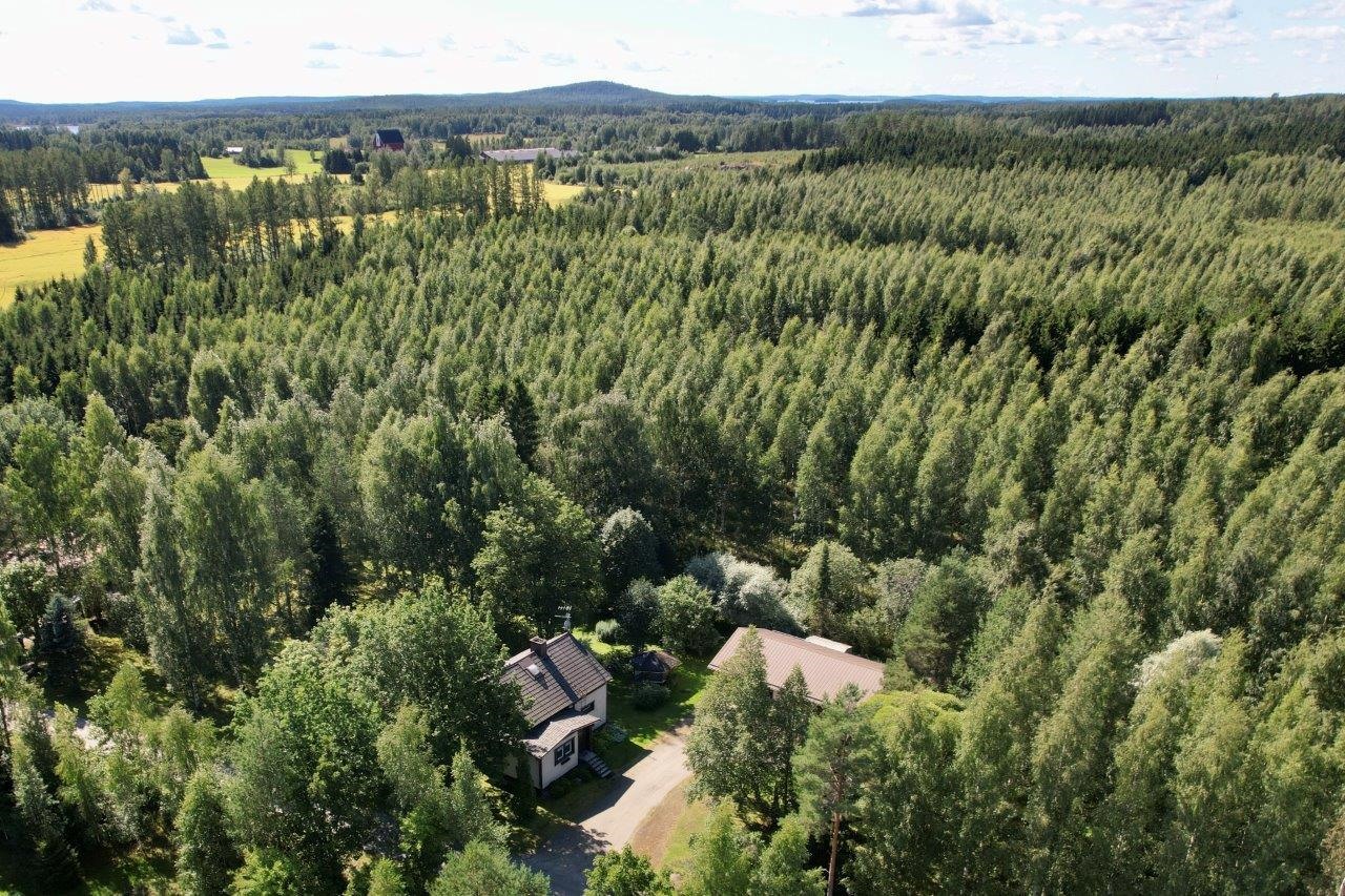 Kohdekuva 38