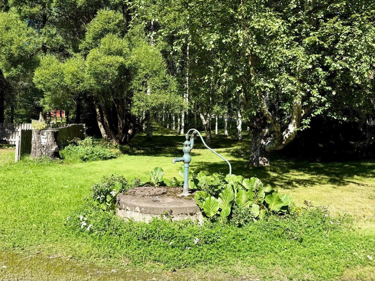 Kohdekuva 36