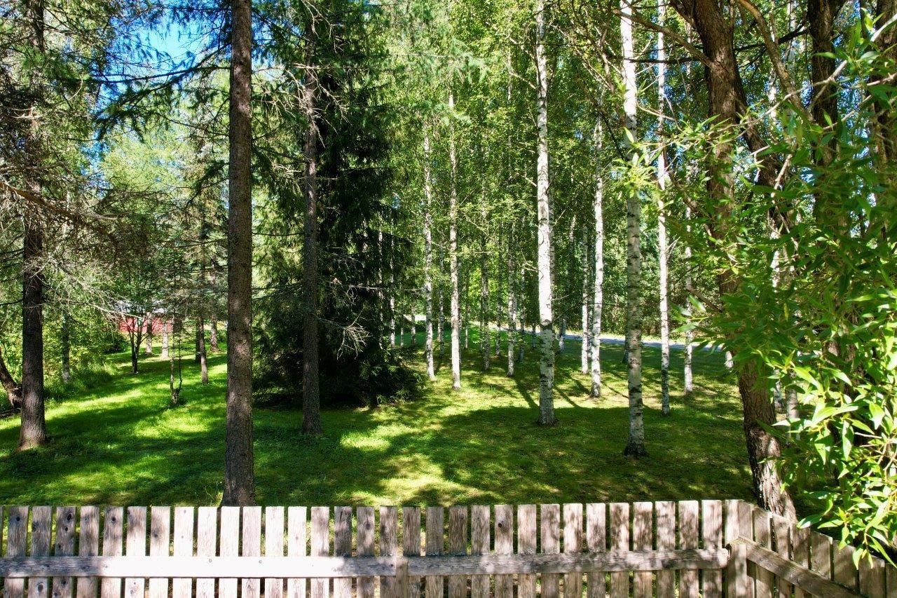 Kohdekuva 37
