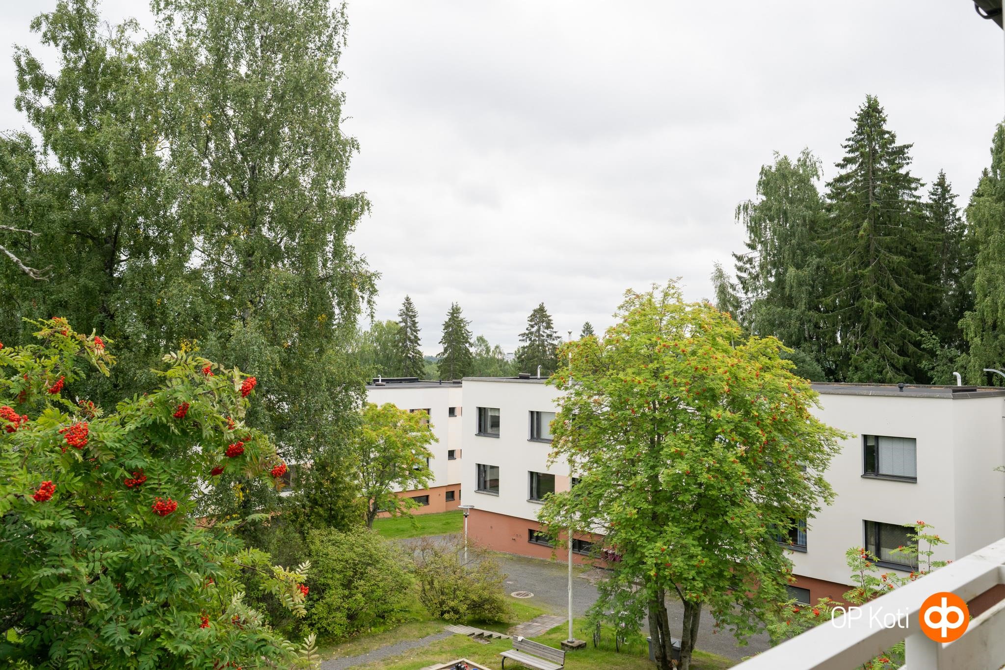 Kohdekuva 5