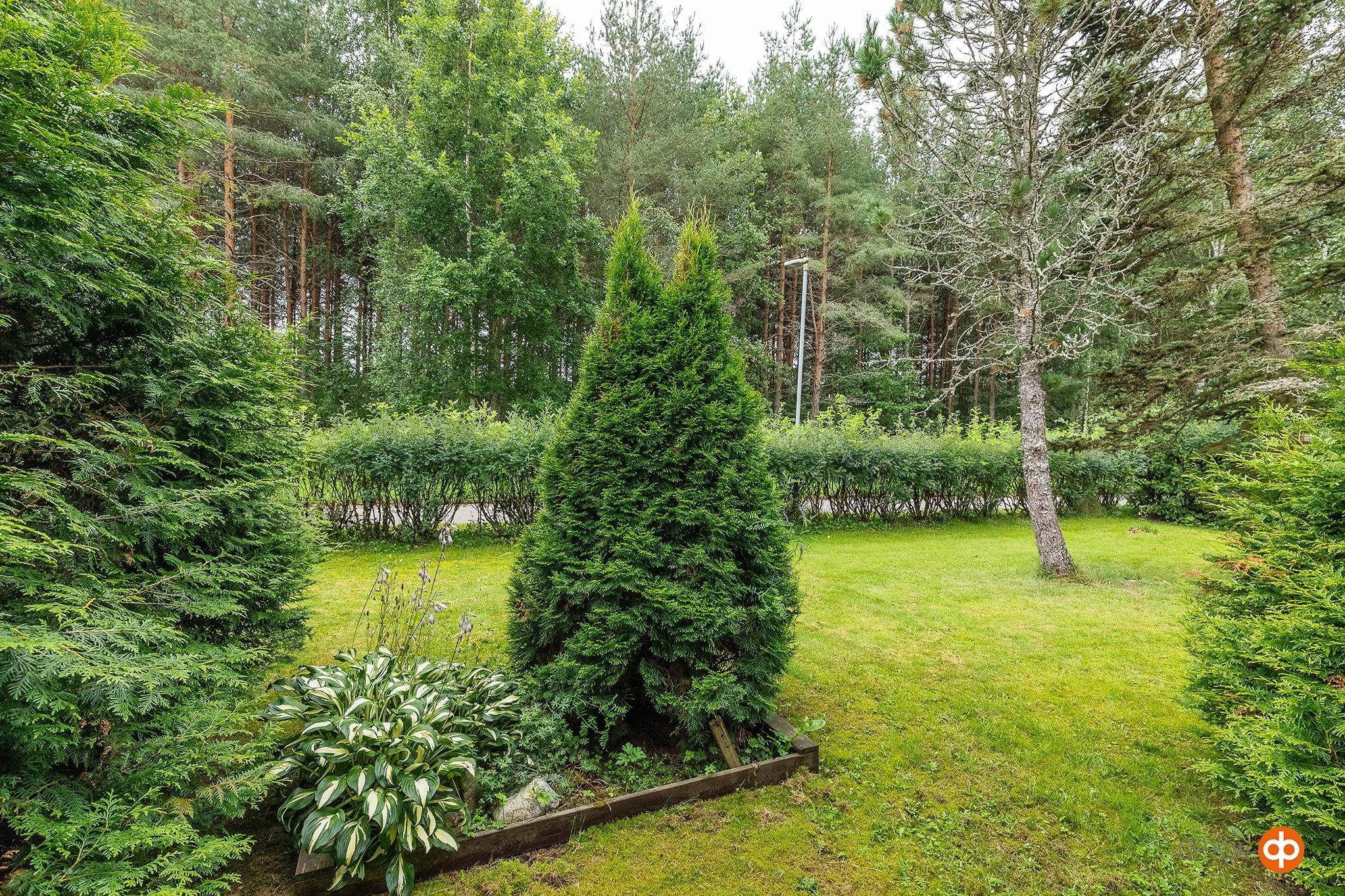 Kohdekuva 36