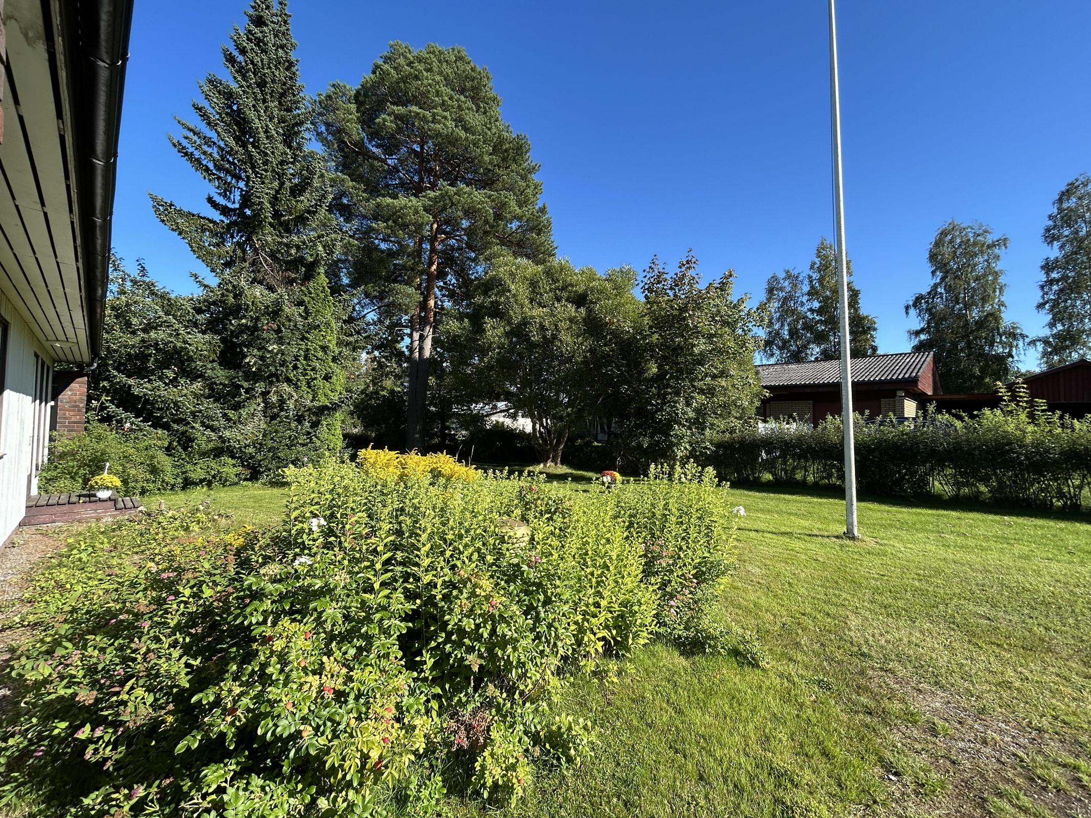 Etupihaa