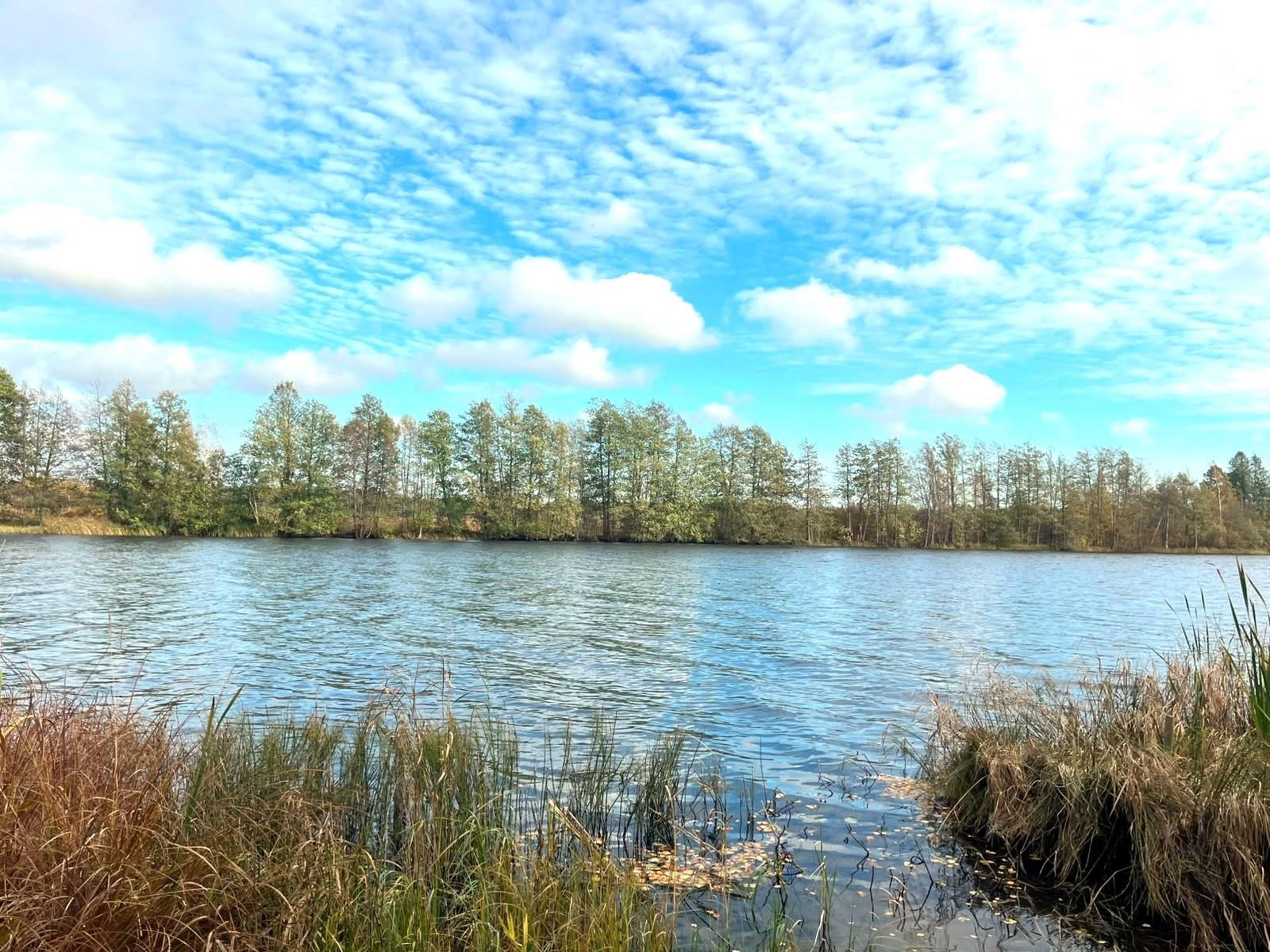 Kohdekuva 23