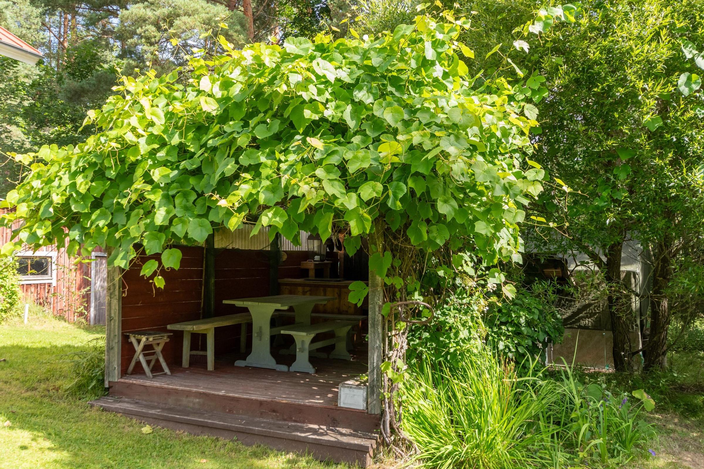 Kesäkeittiö
