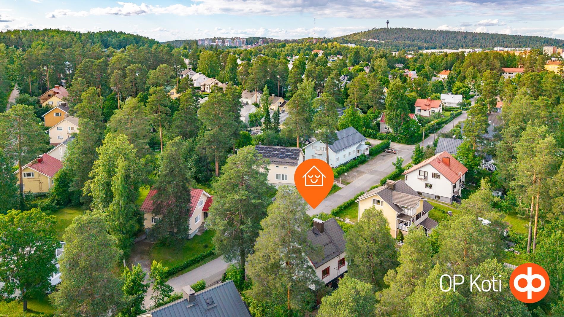 Kohdekuva 36