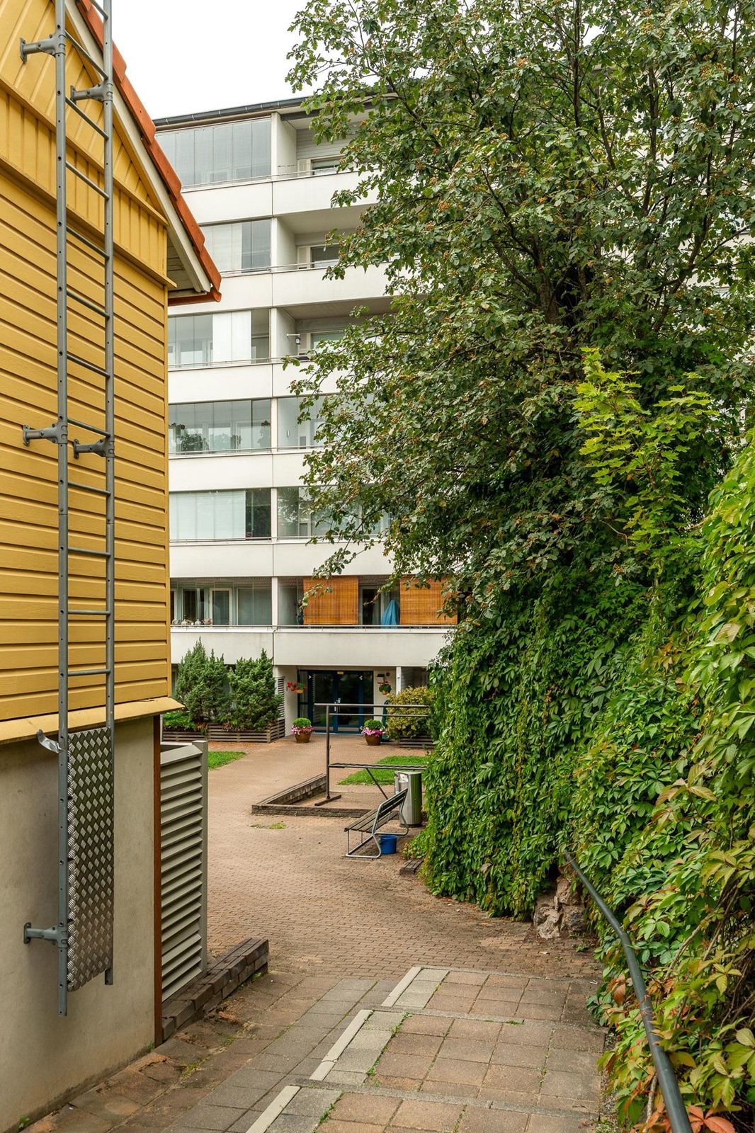 Kohdekuva 24
