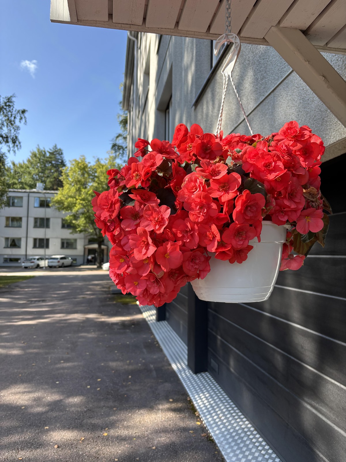 Kohdekuva 13