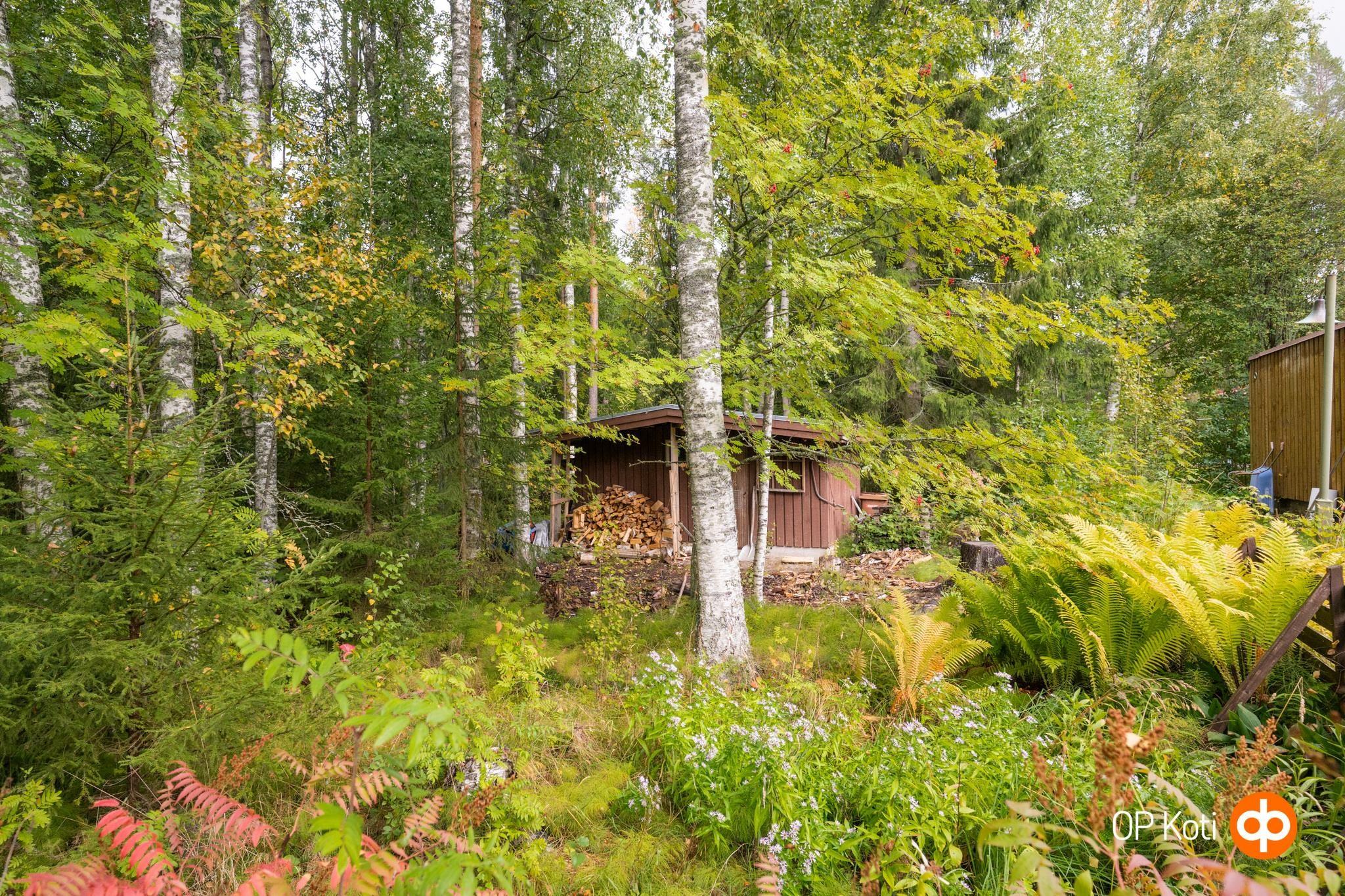 Kohdekuva 23