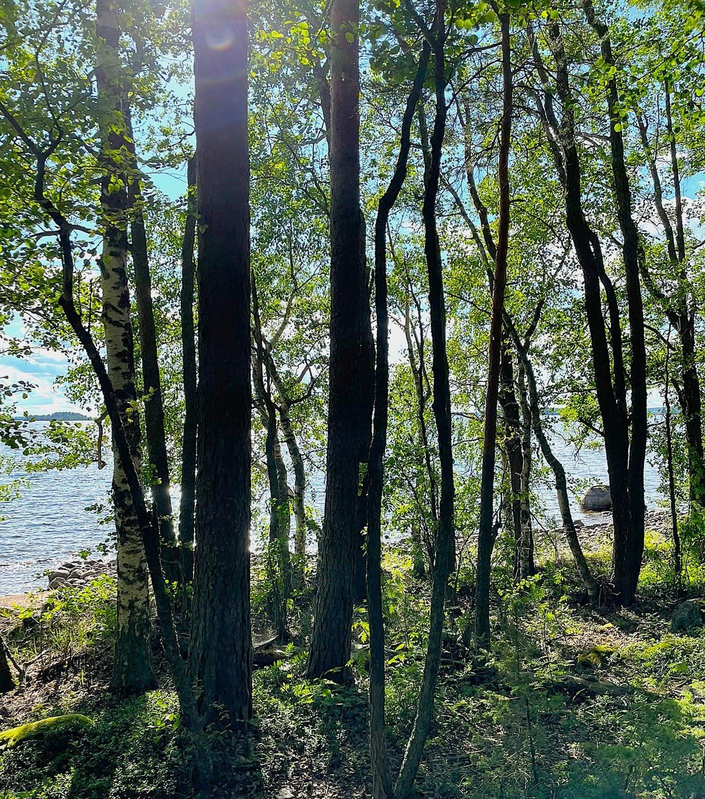 Kerrostalo – Taipalsaari - Näkymä 5