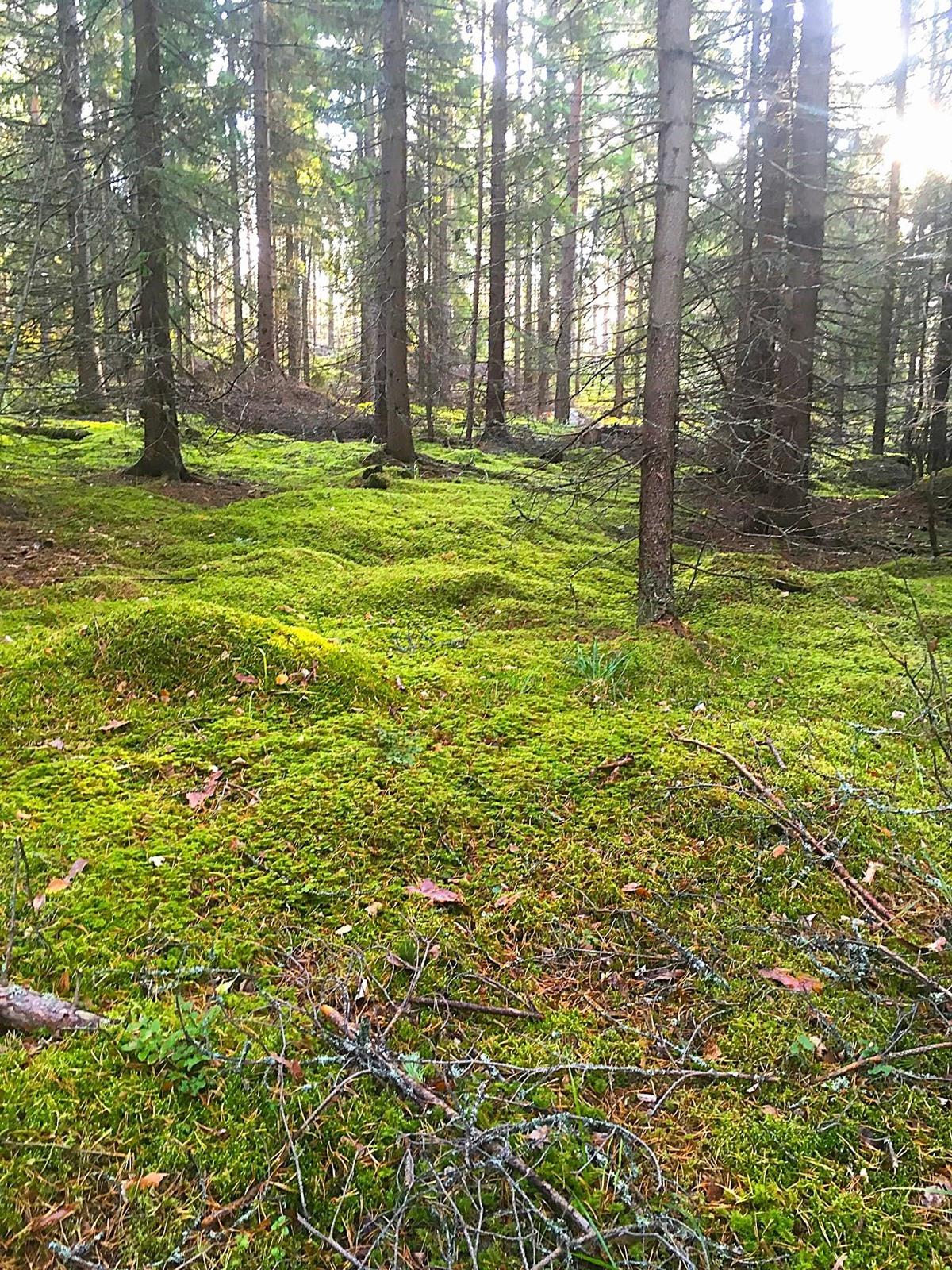 Kerrostalo – Taipalsaari - Lisää