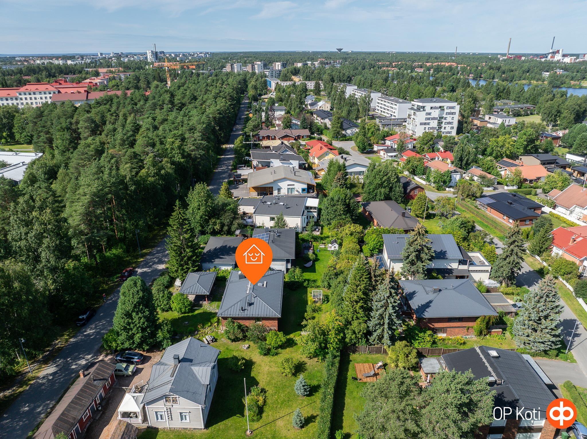 Kohdekuva 49