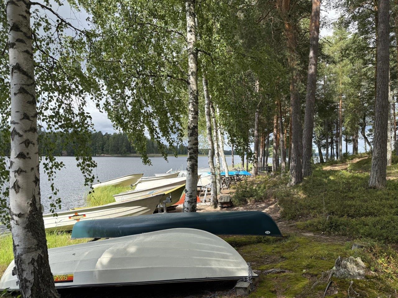 Kohdekuva 22