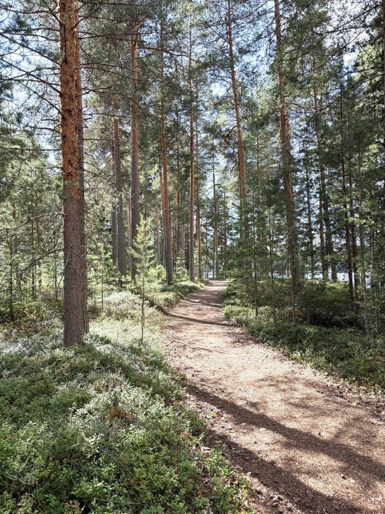 Kohdekuva 19