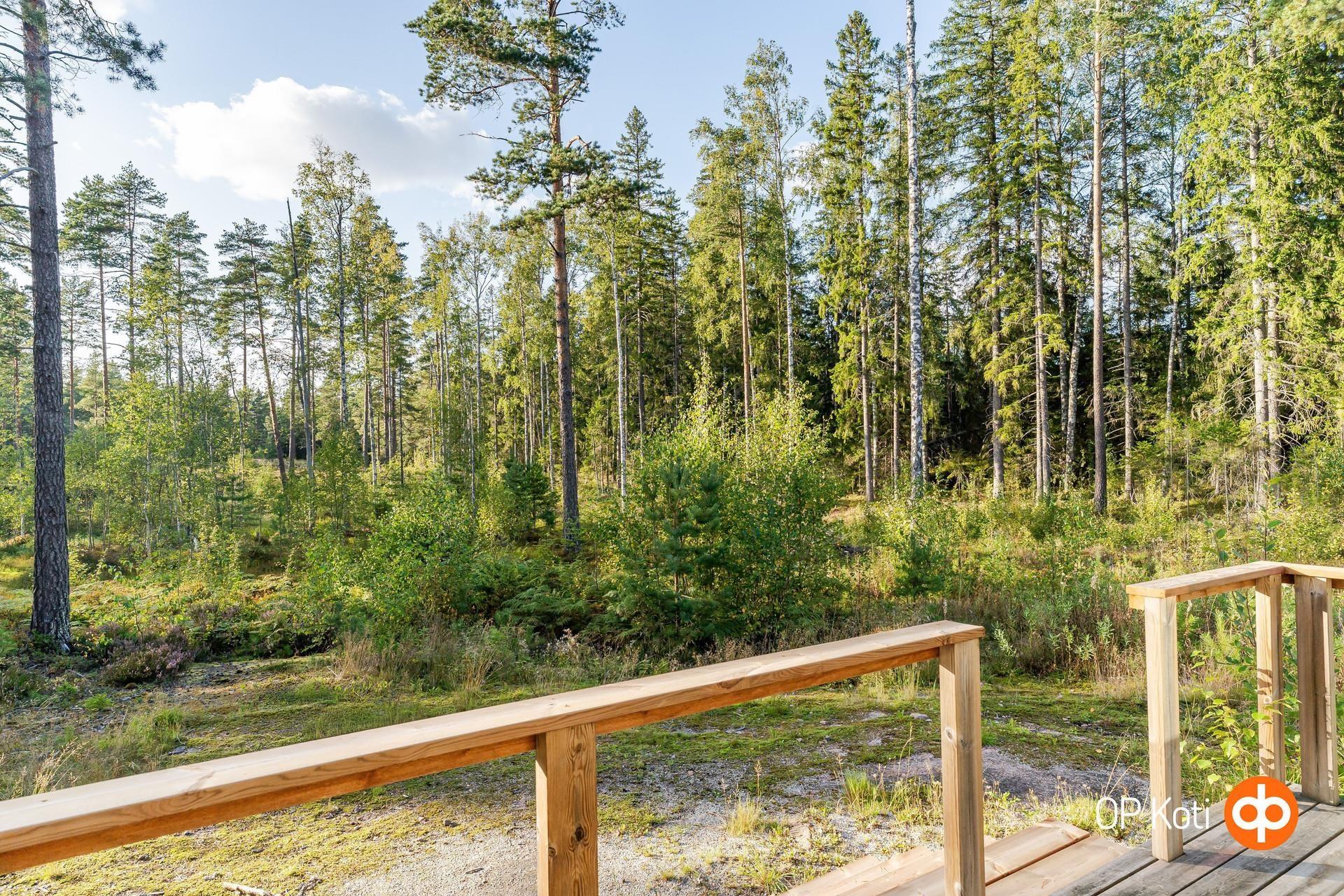 Kohdekuva 38