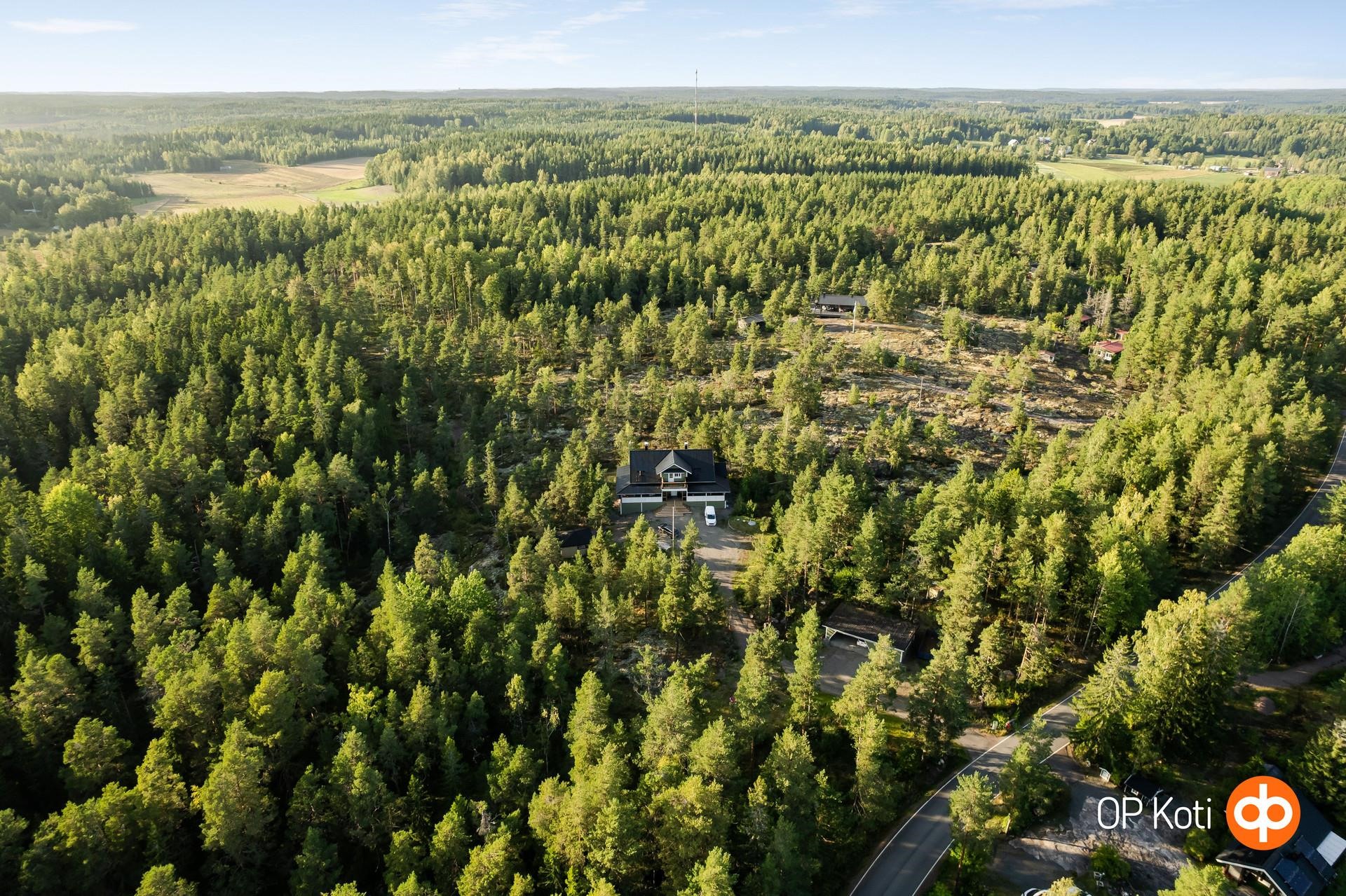 Kohdekuva 44
