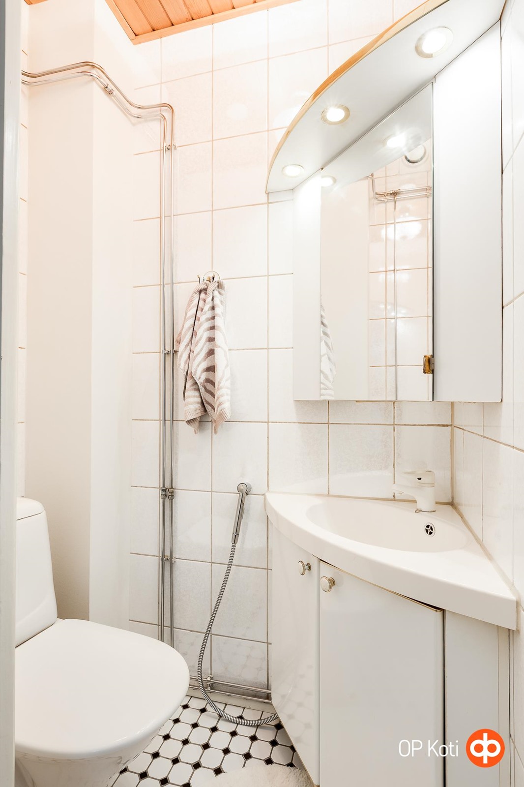 Erillinen WC