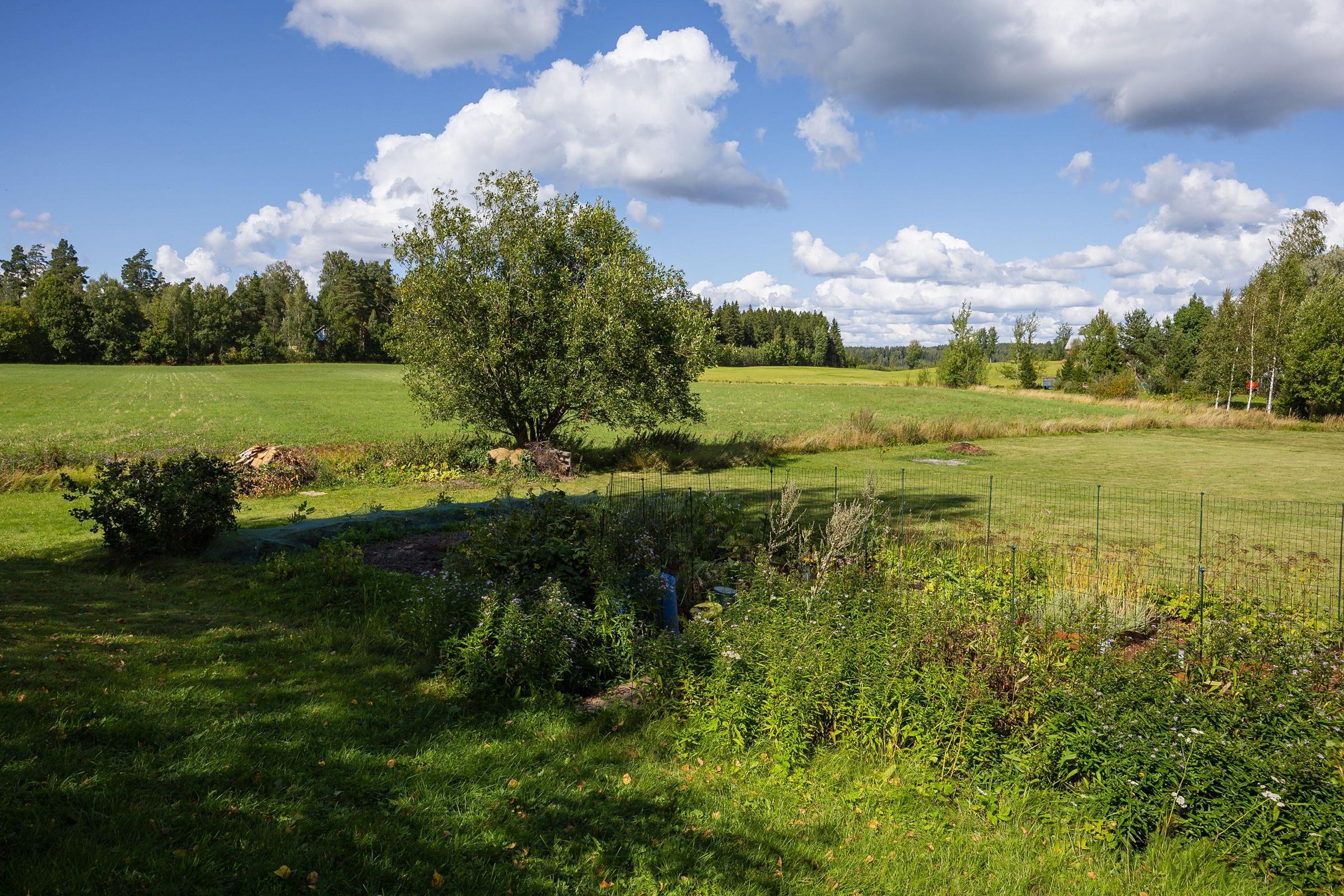 Taloyhtiön kasvimaa