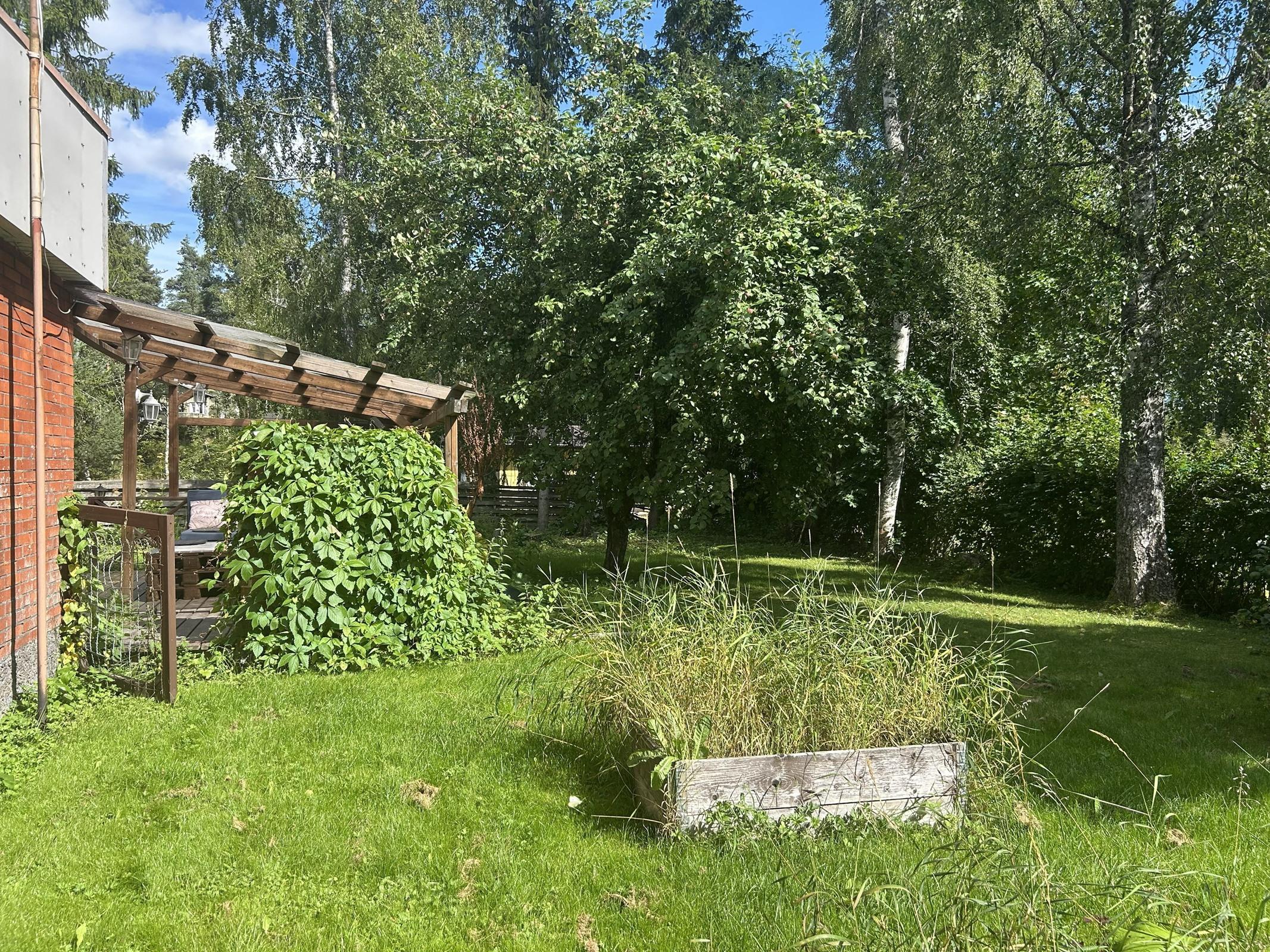 Kohdekuva 17
