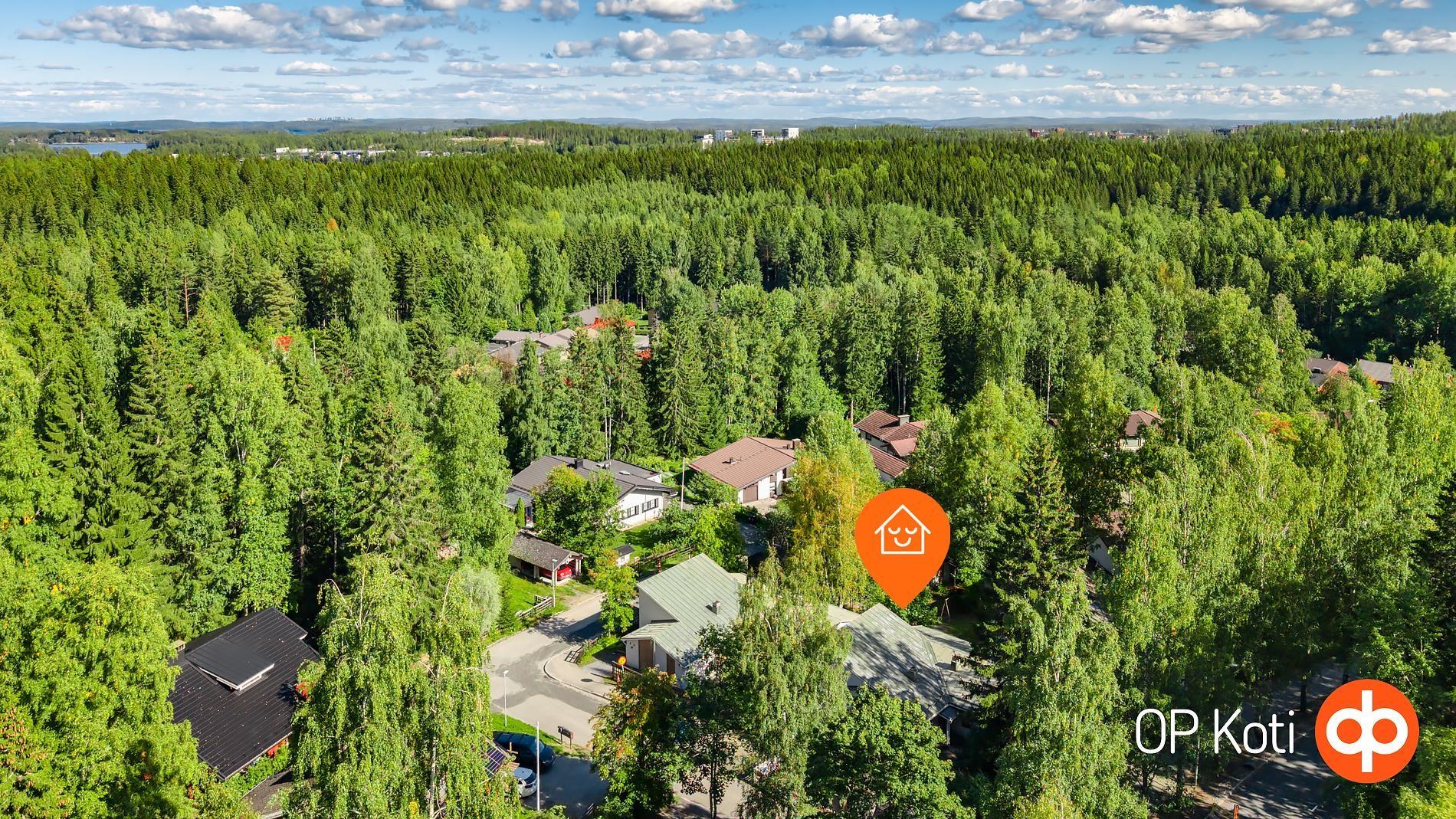 Kohdekuva 29