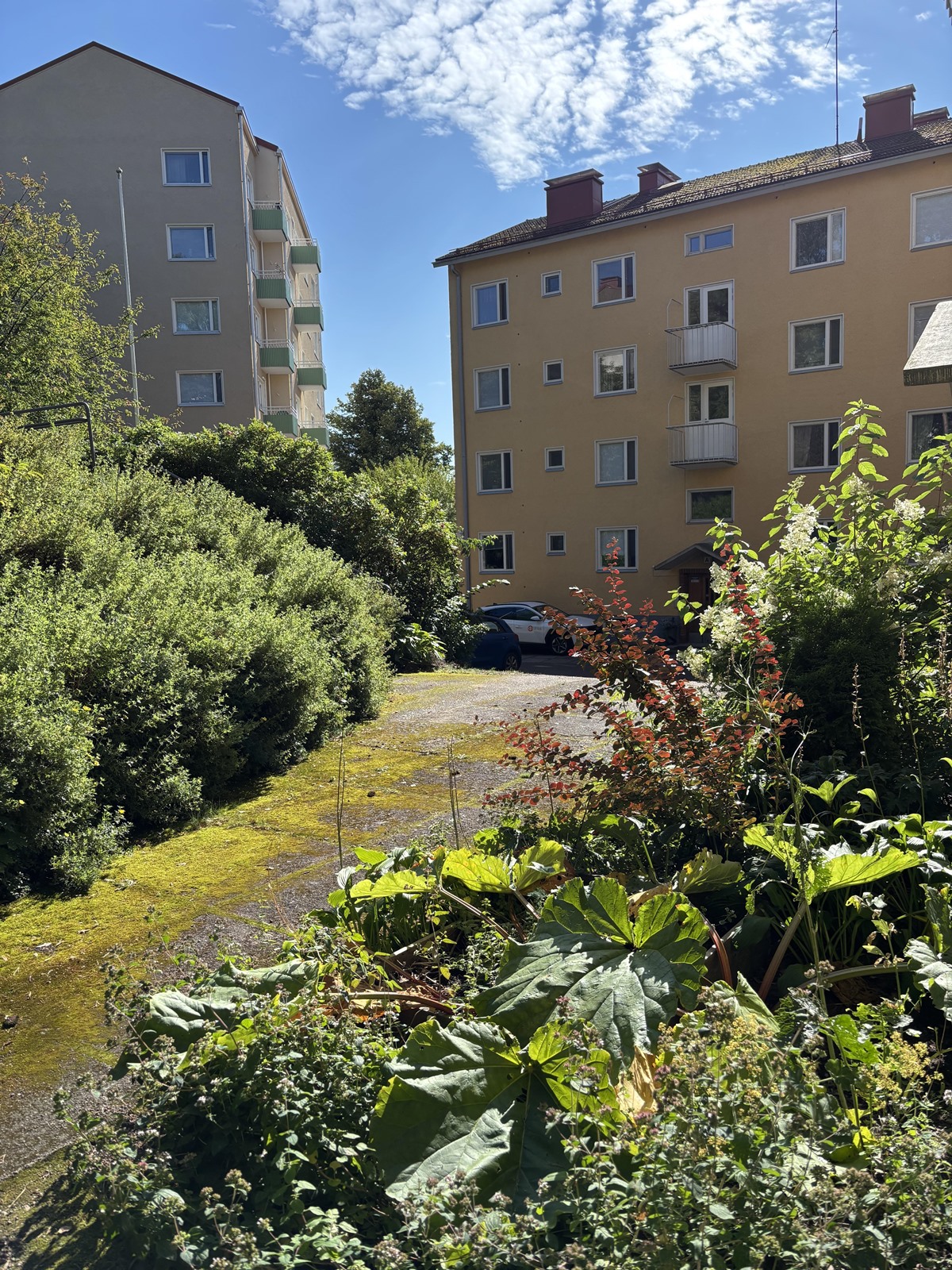 Kohdekuva 23
