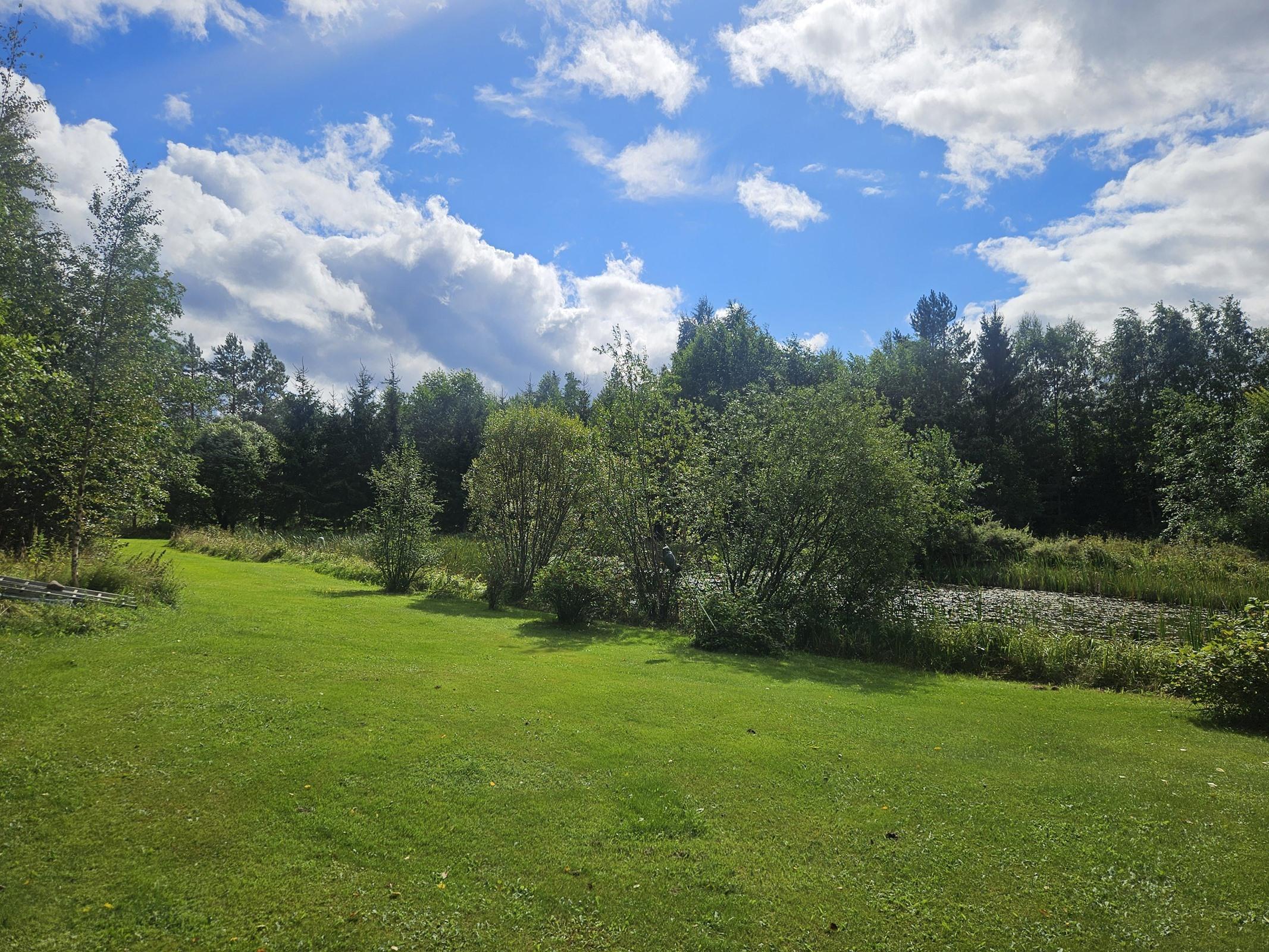 tontin alapihaa, jossa lampi ja pieni sauna