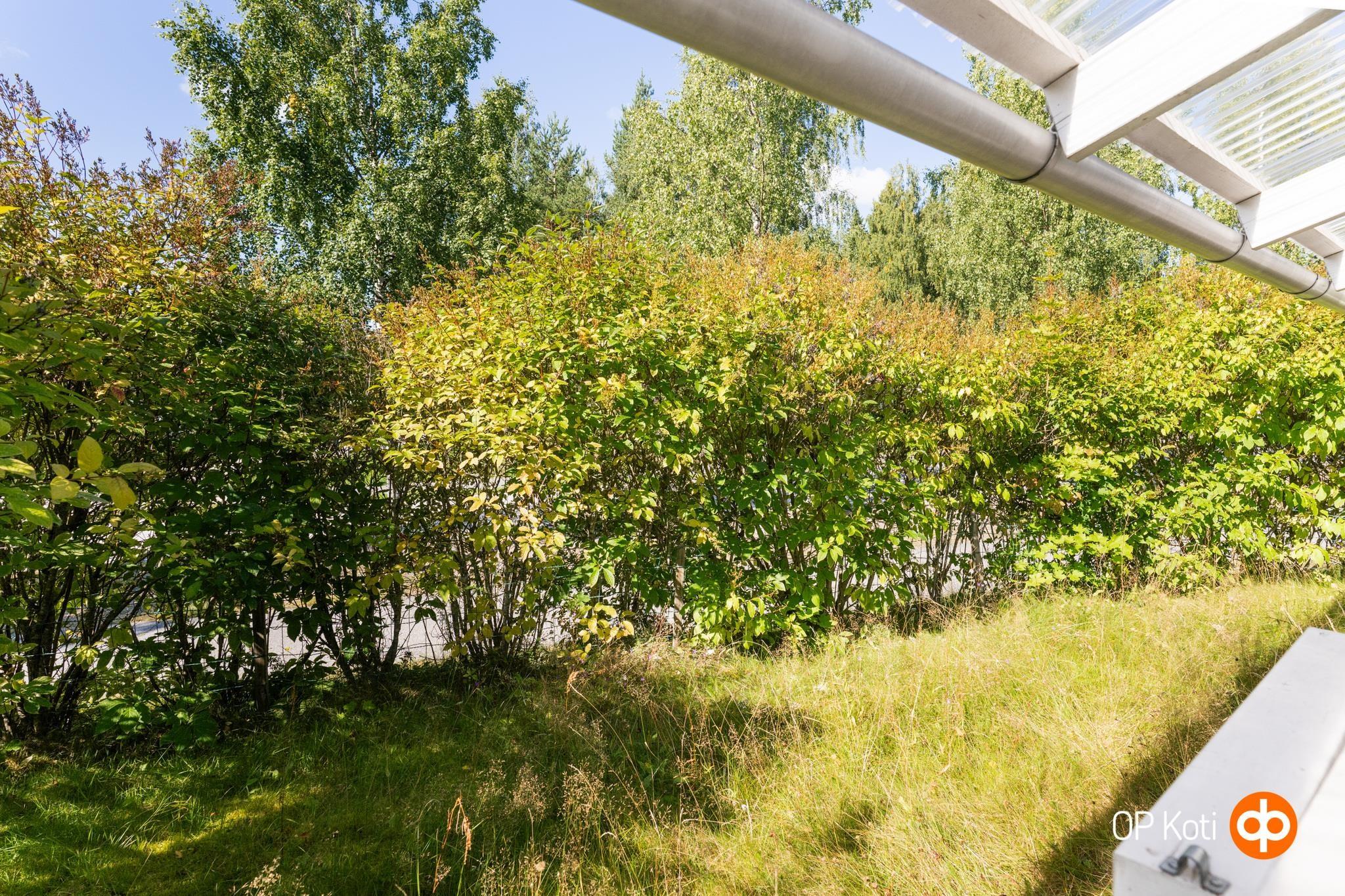 Kohdekuva 20