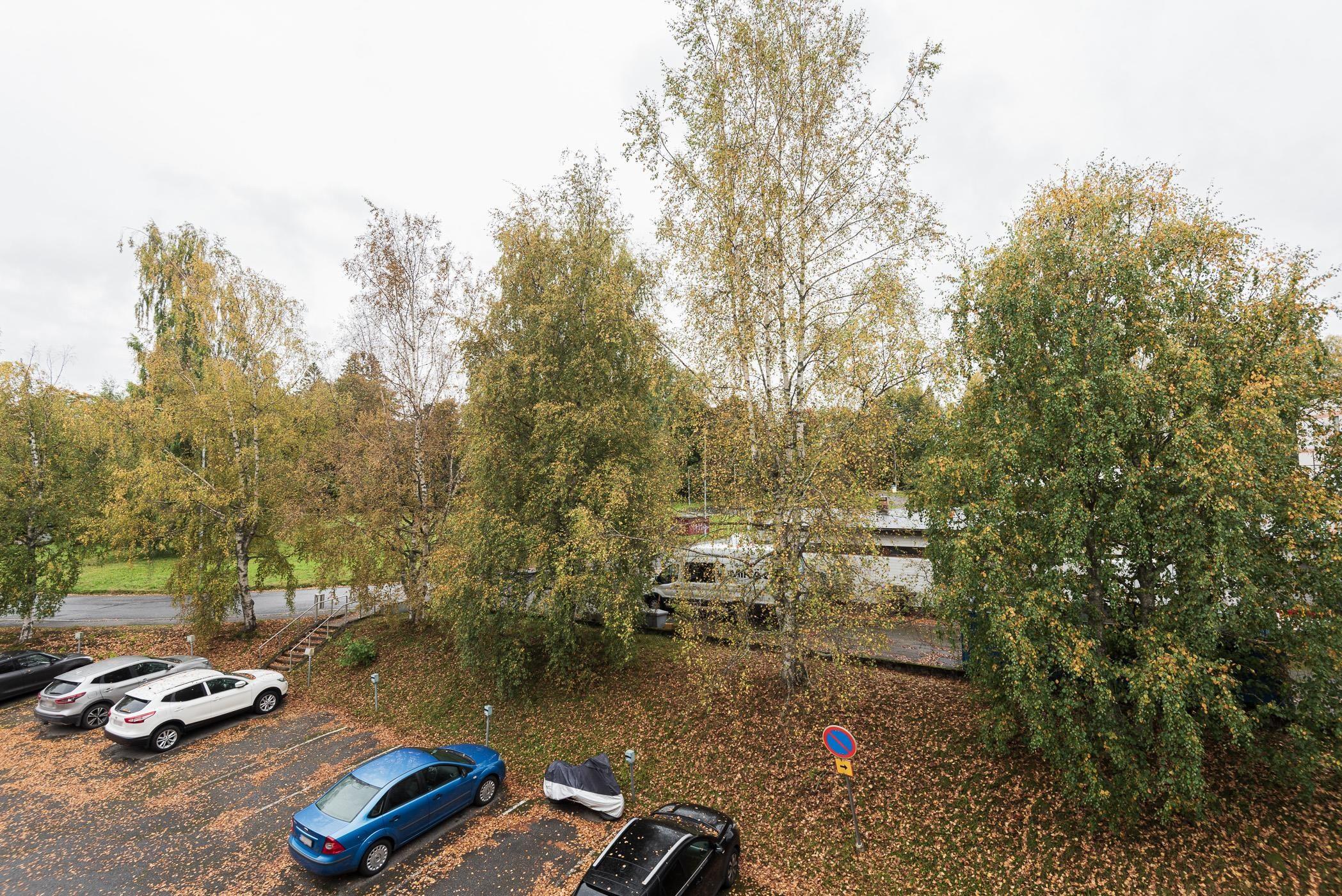 Kohdekuva 13