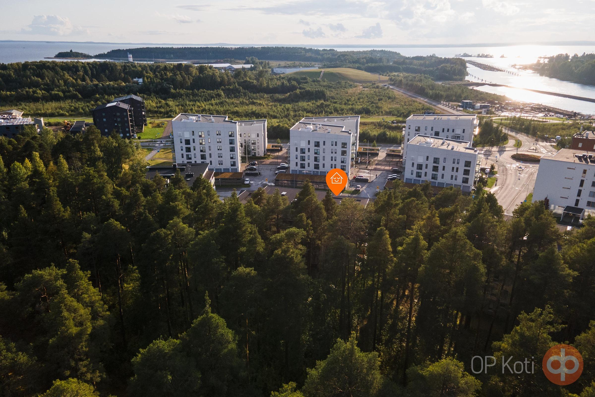 Kohdekuva 13