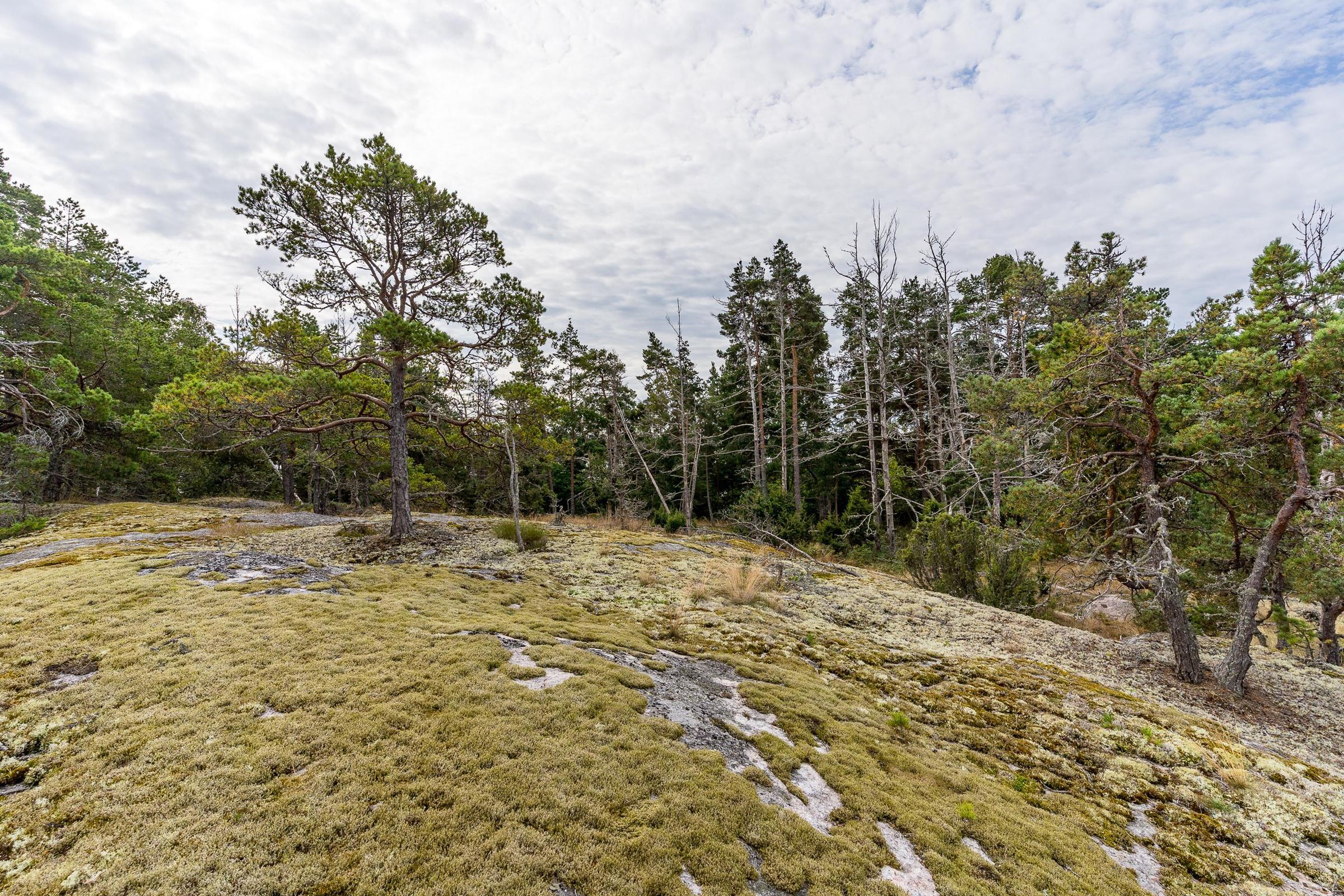 Kohdekuva 14