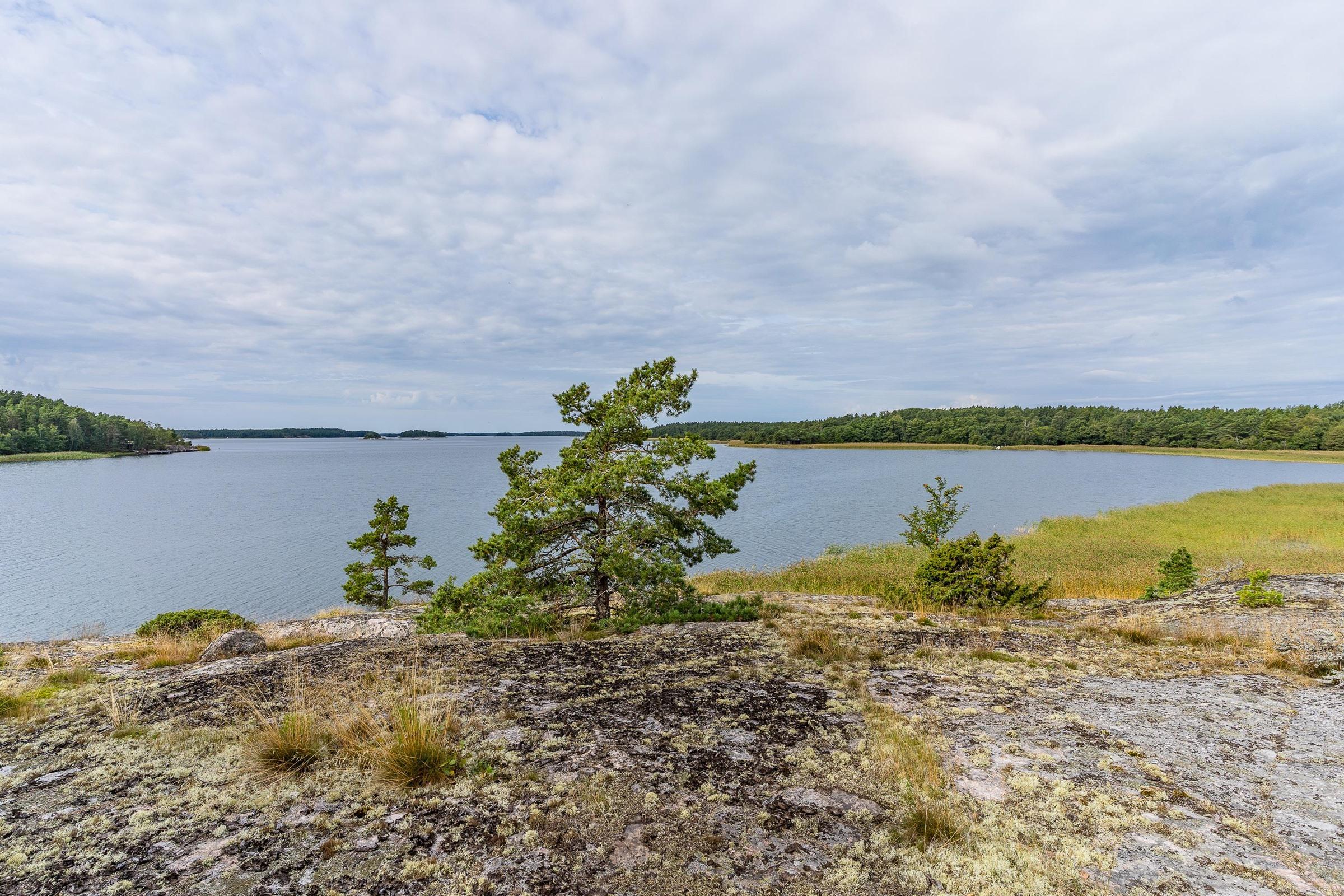 Kohdekuva 11