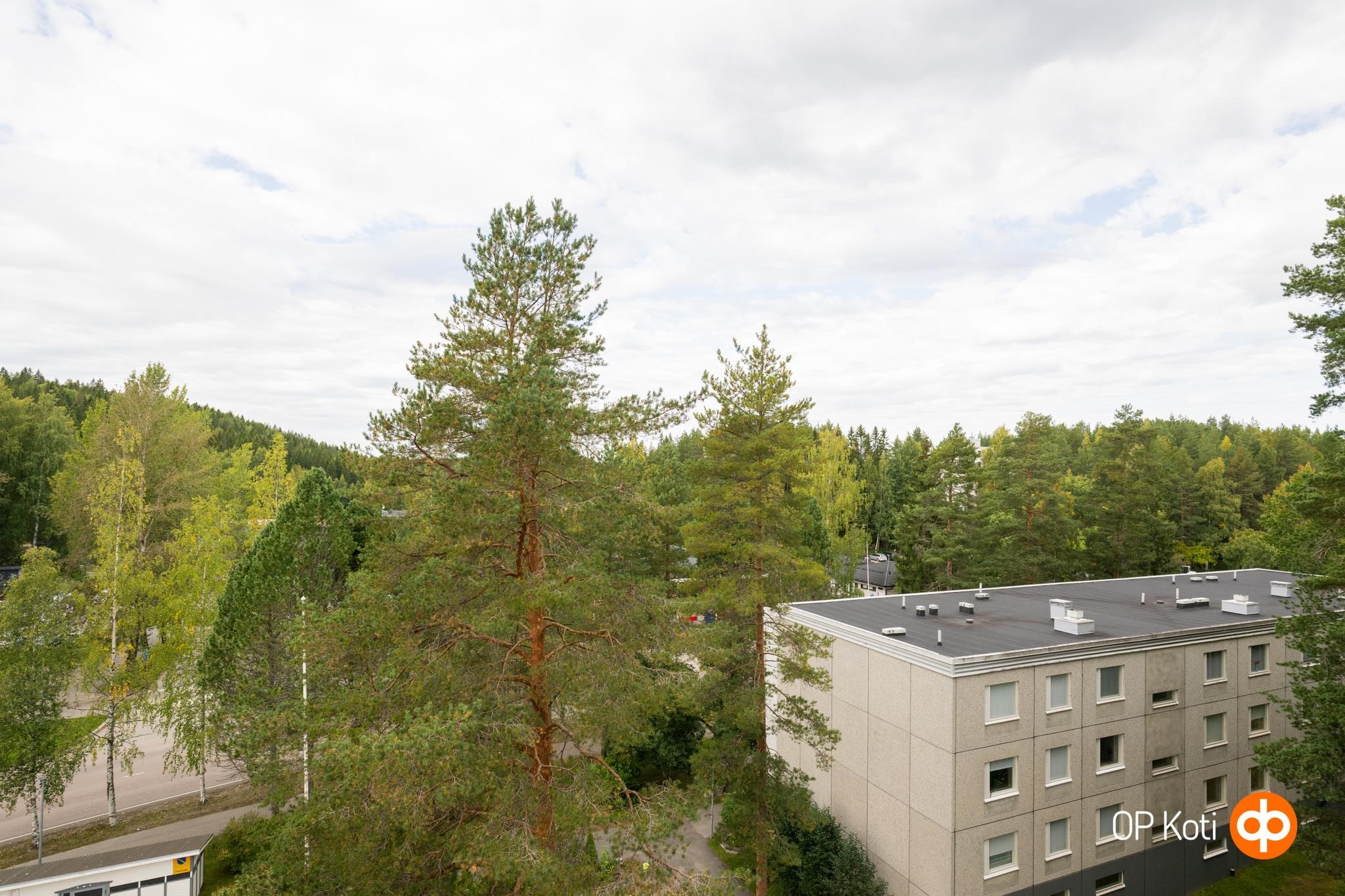 Kohdekuva 17
