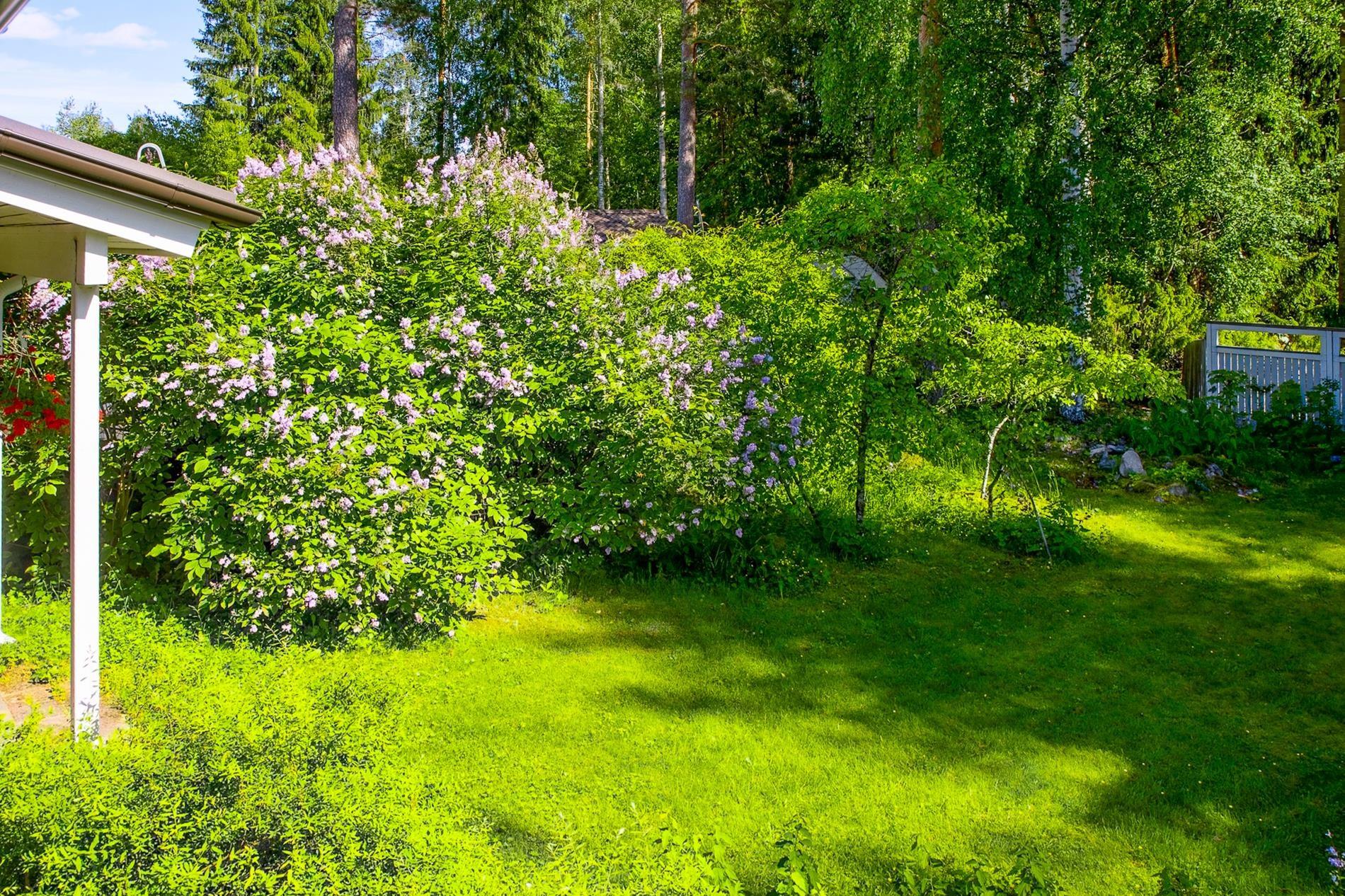 Kohdekuva 27