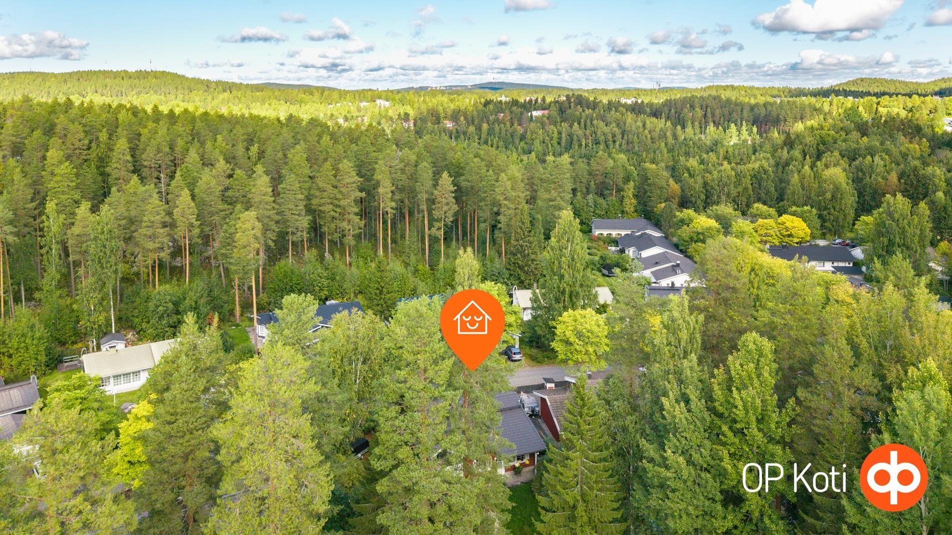 Kohdekuva 36
