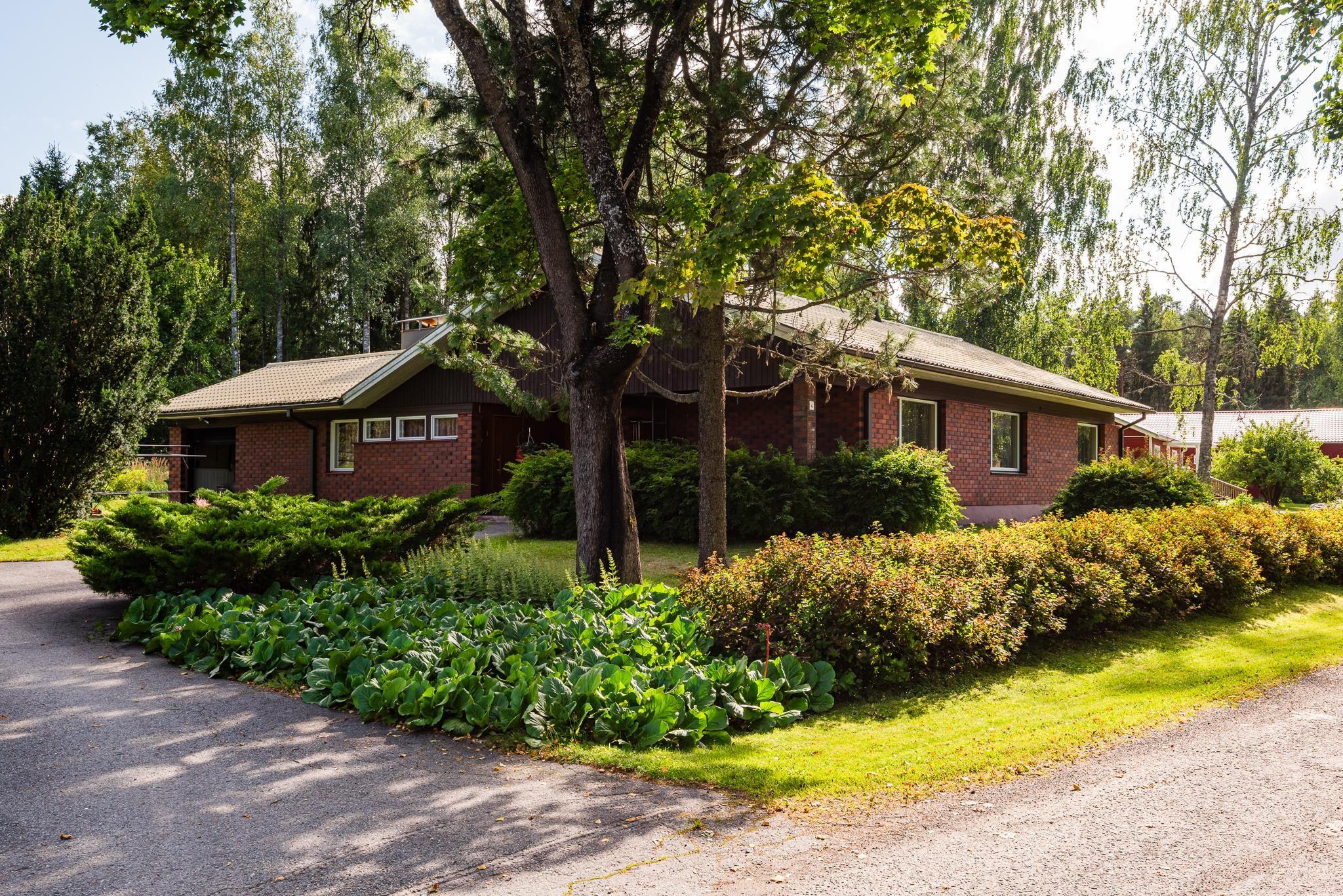 Kohdekuva 19