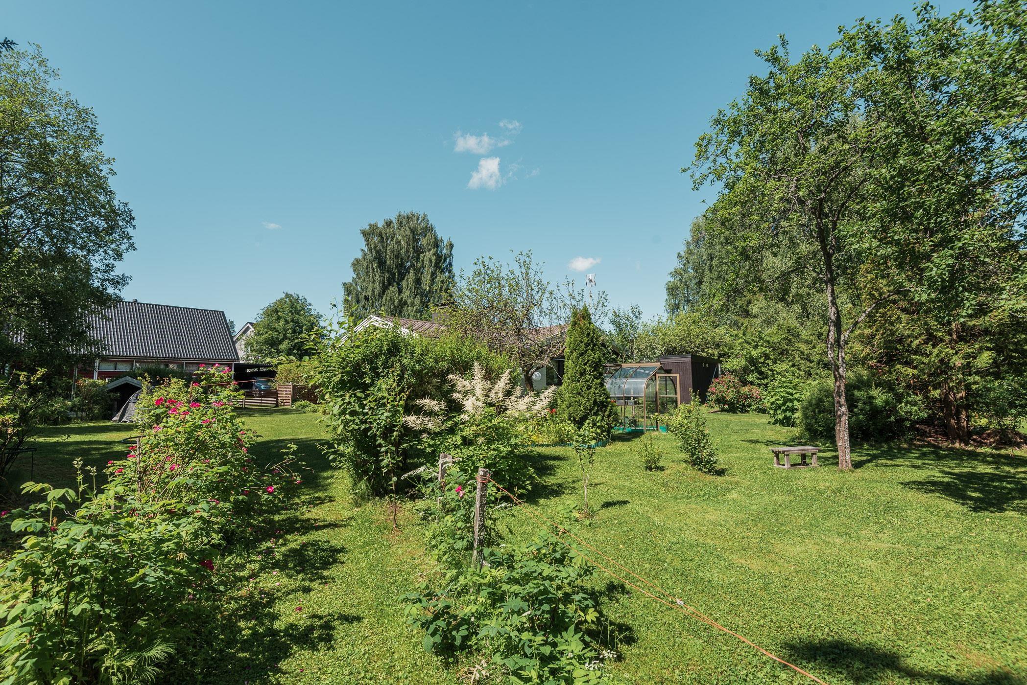 Kohdekuva 35