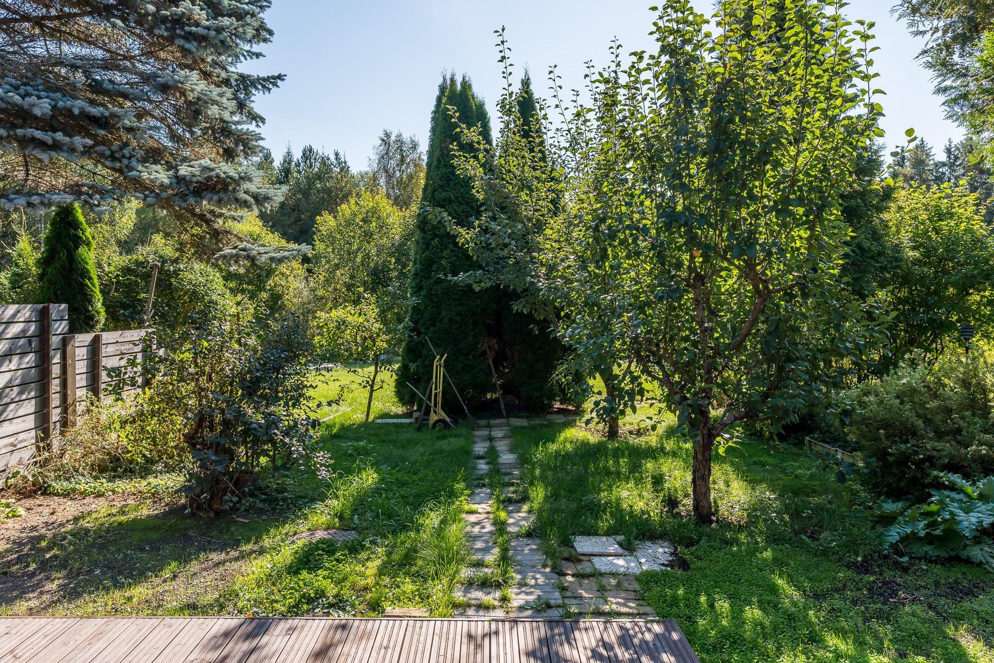 Kohdekuva 25