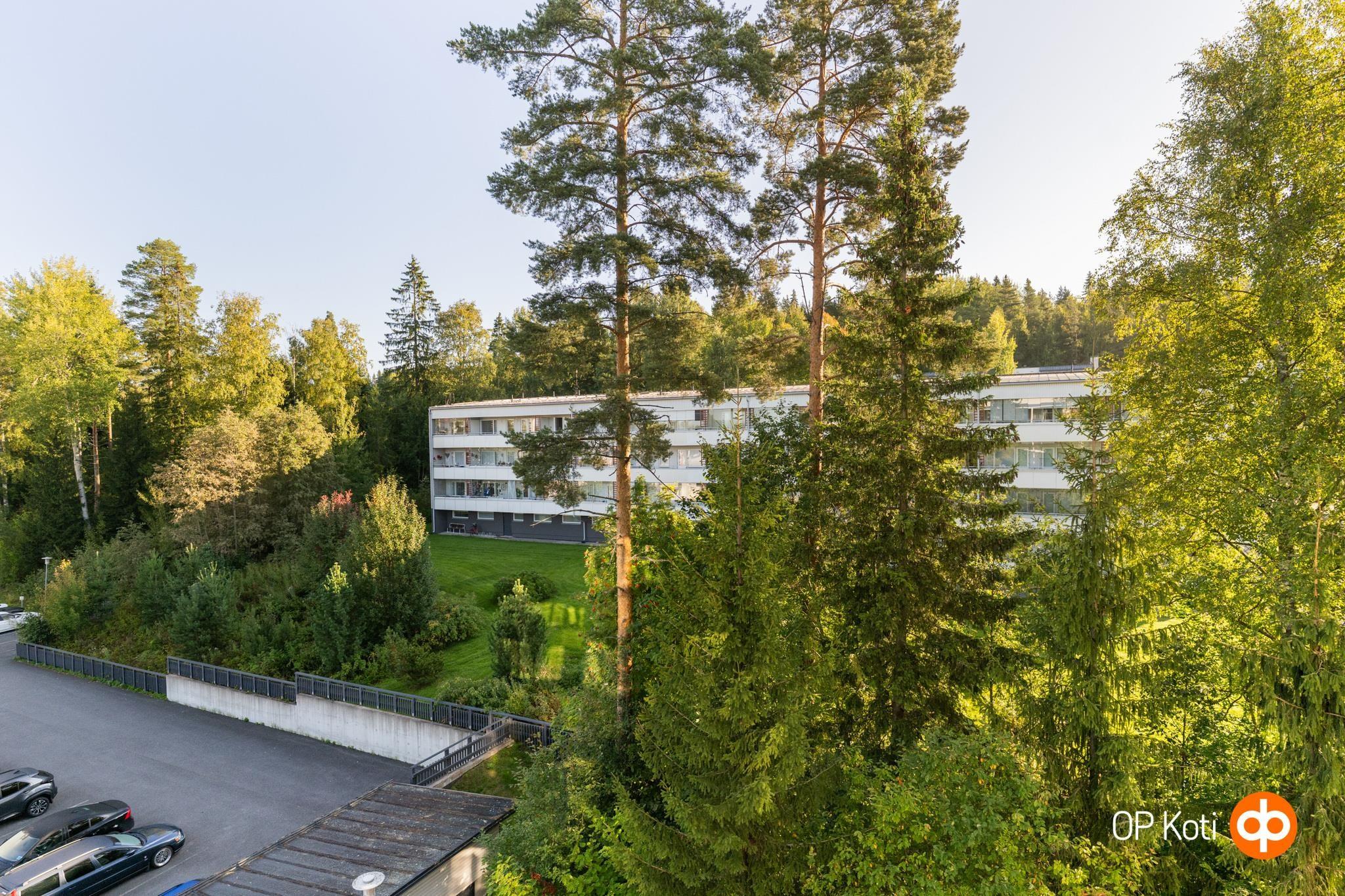 Kohdekuva 24