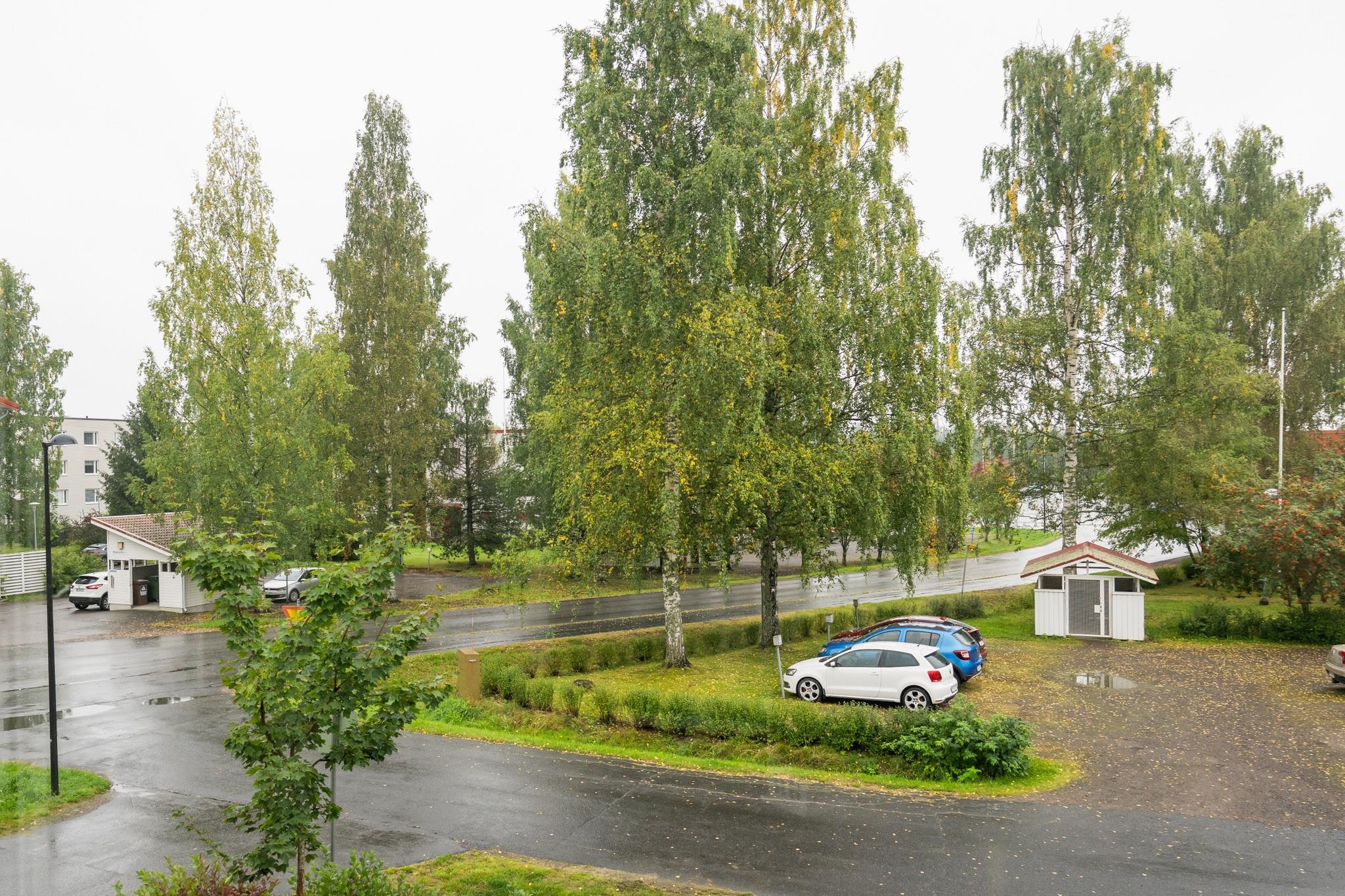 Kohdekuva 24