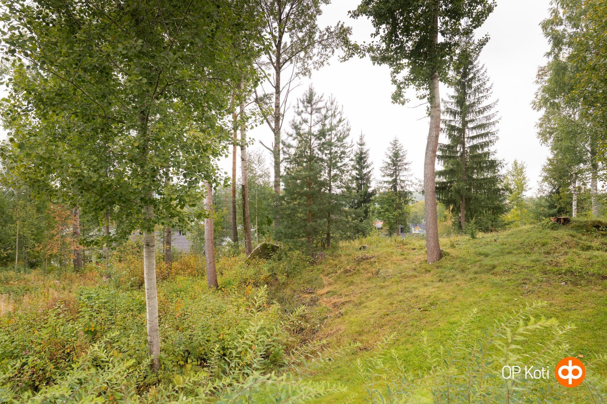 Kohdekuva 49