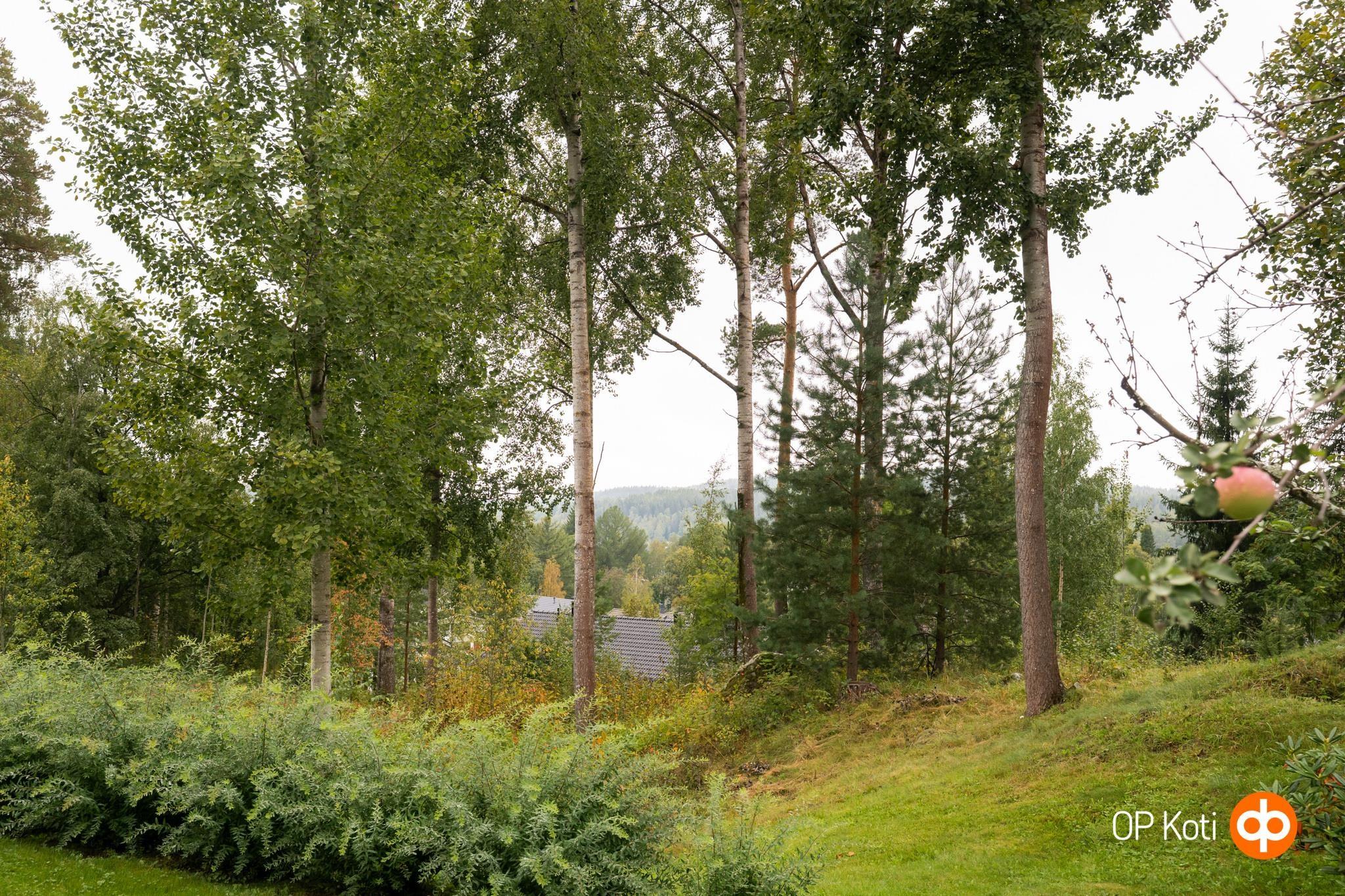 Kohdekuva 52