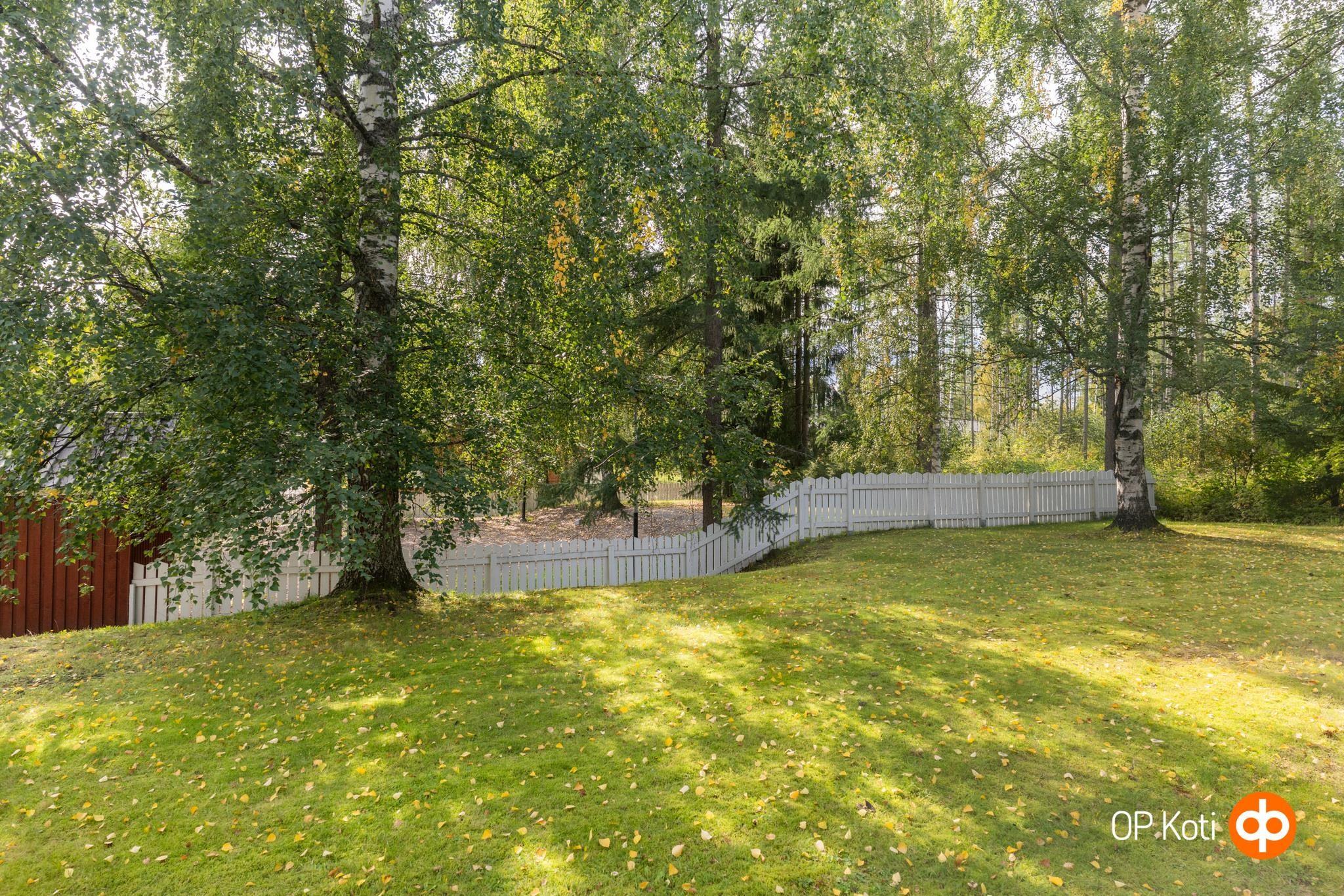 Kohdekuva 24