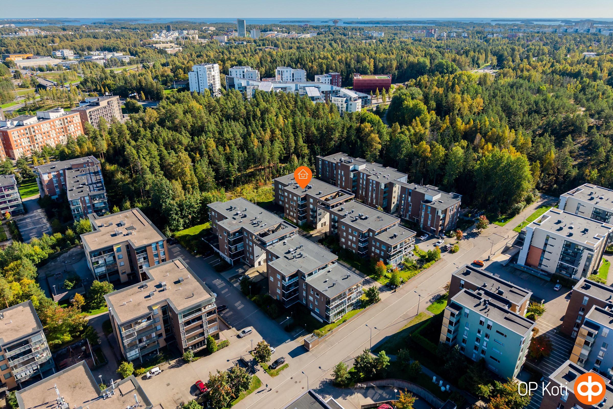 Kohdekuva 24