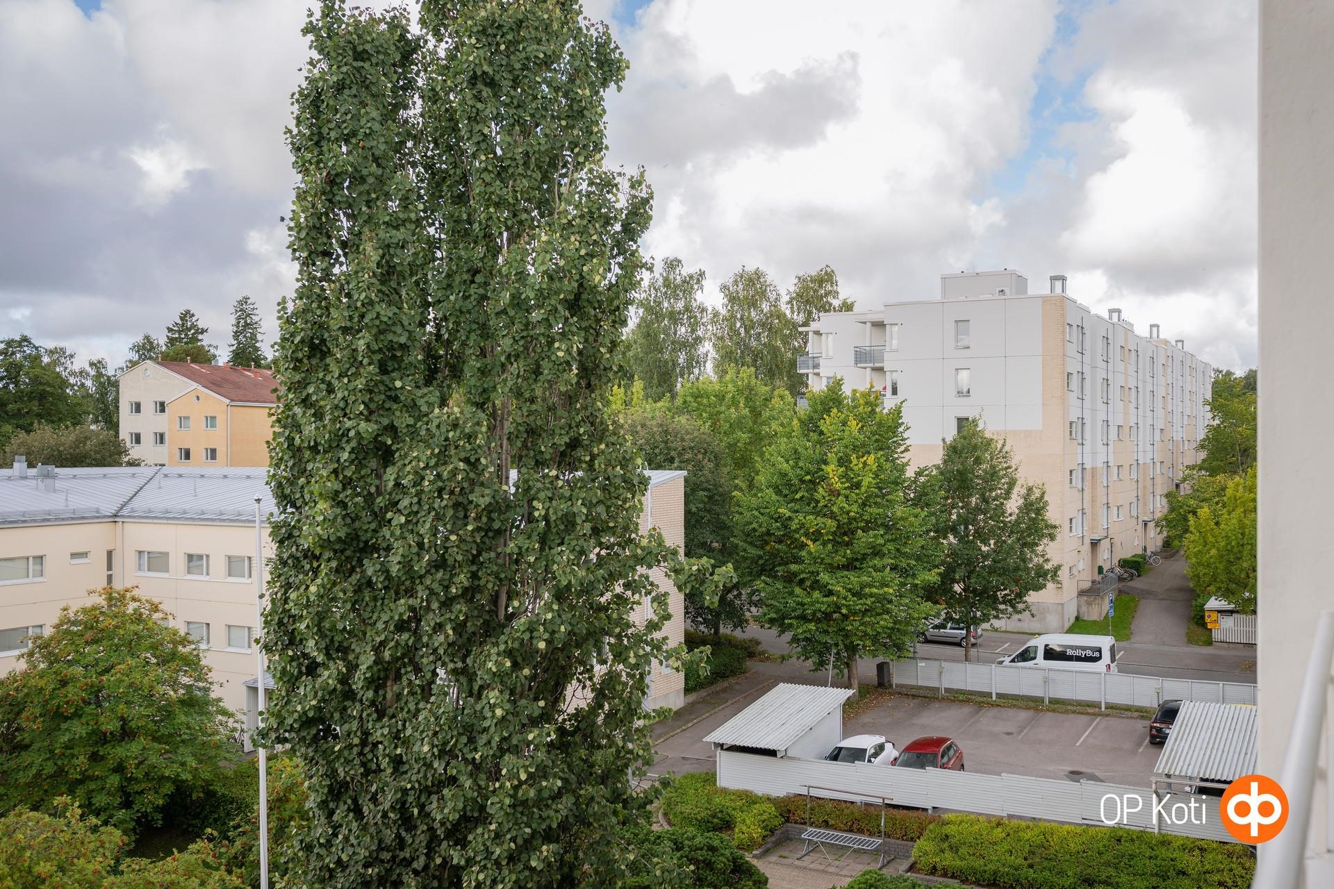 Kohdekuva 17