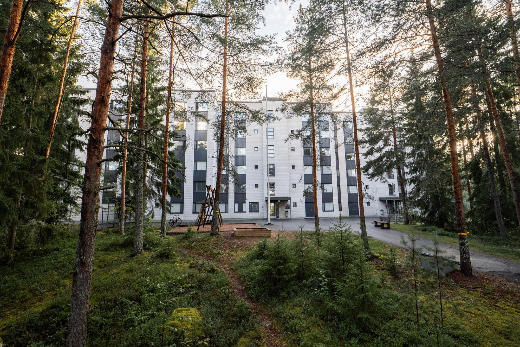 Kohdekuva 1